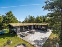 Vrijstaande woning Elin op Rømø met sauna, grote tuin en laadpaal op 3 km van zee - thumbnail 1