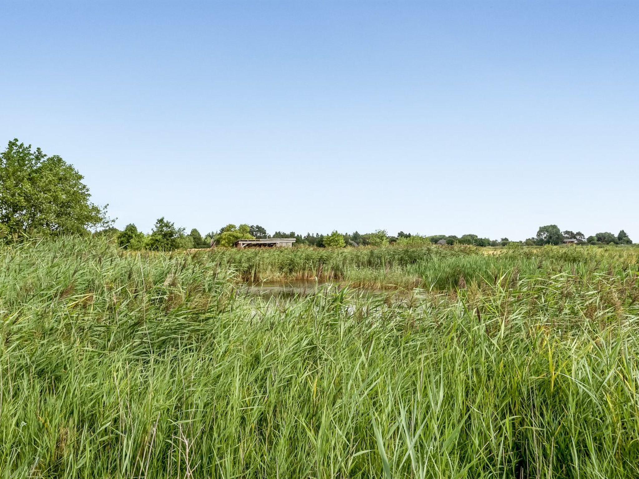 "Munibert" - 3.8km from the sea - Buiten