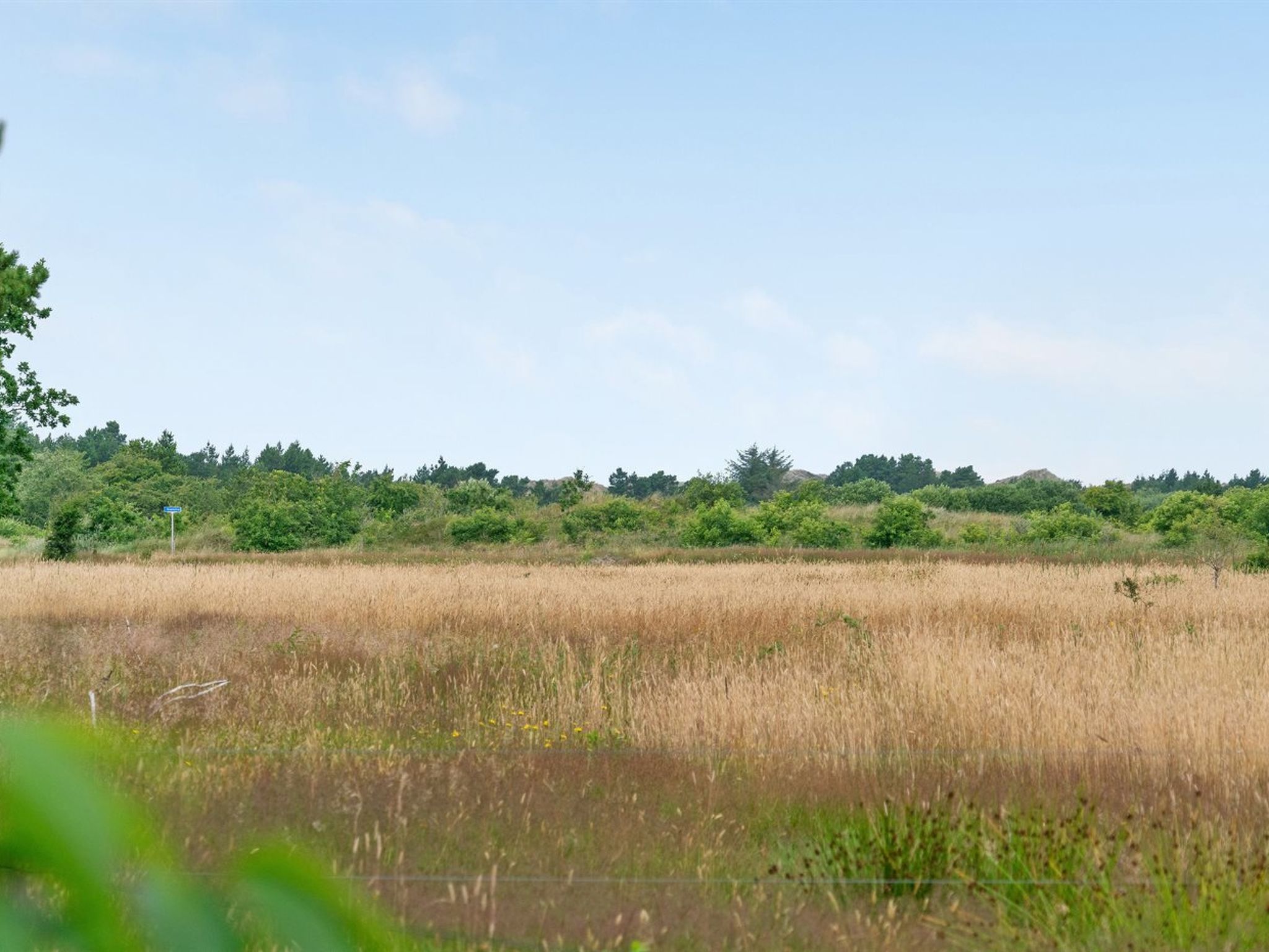 "Gwen" - 2.7km from the sea-Draußen