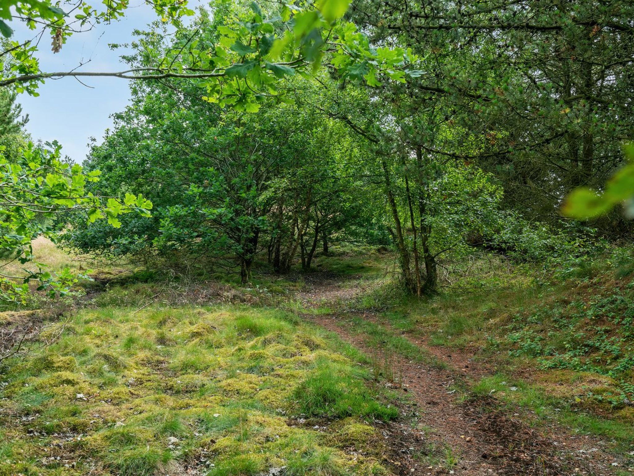 "Gwen" - 2.7km from the sea-Draußen