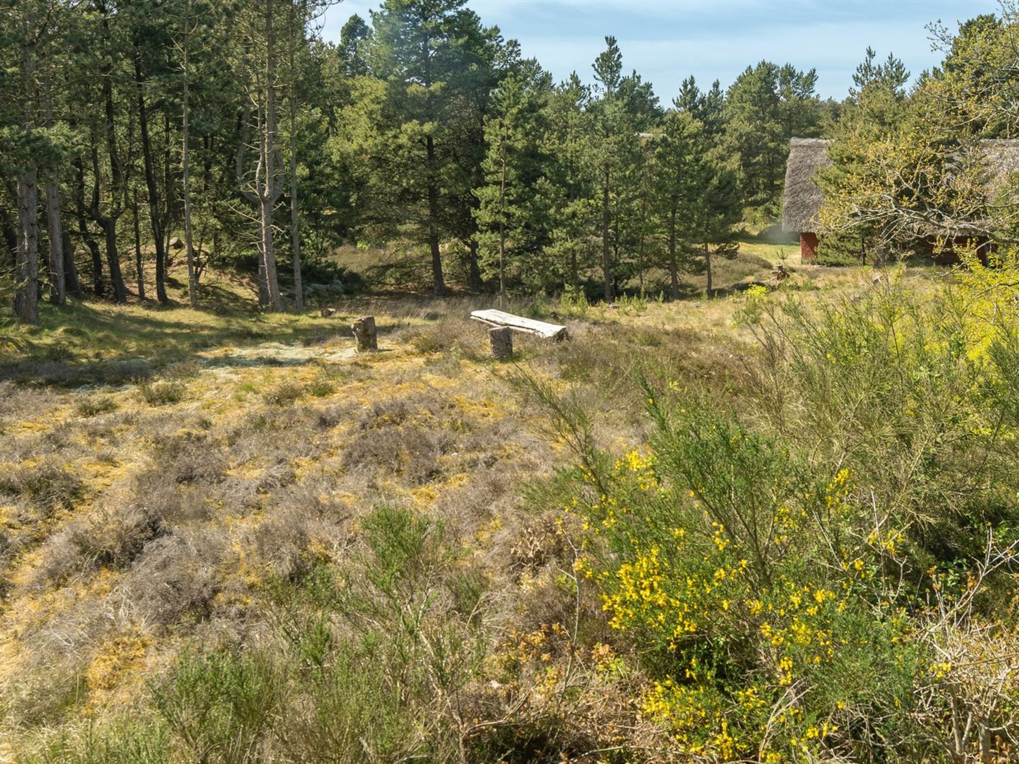 "Ridir" - 3.5km from the sea - Dehors