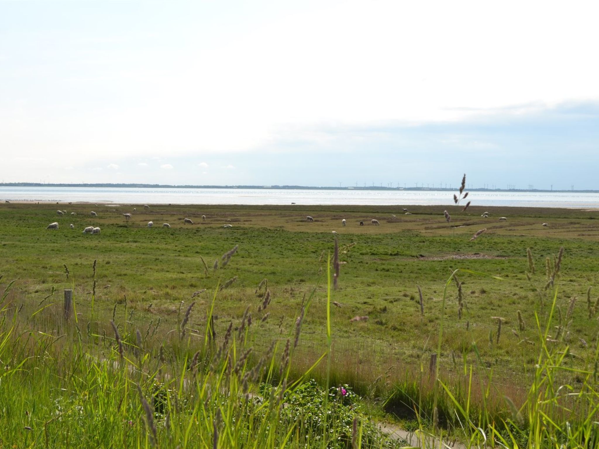 "Gertruda" - 2.3km from the sea