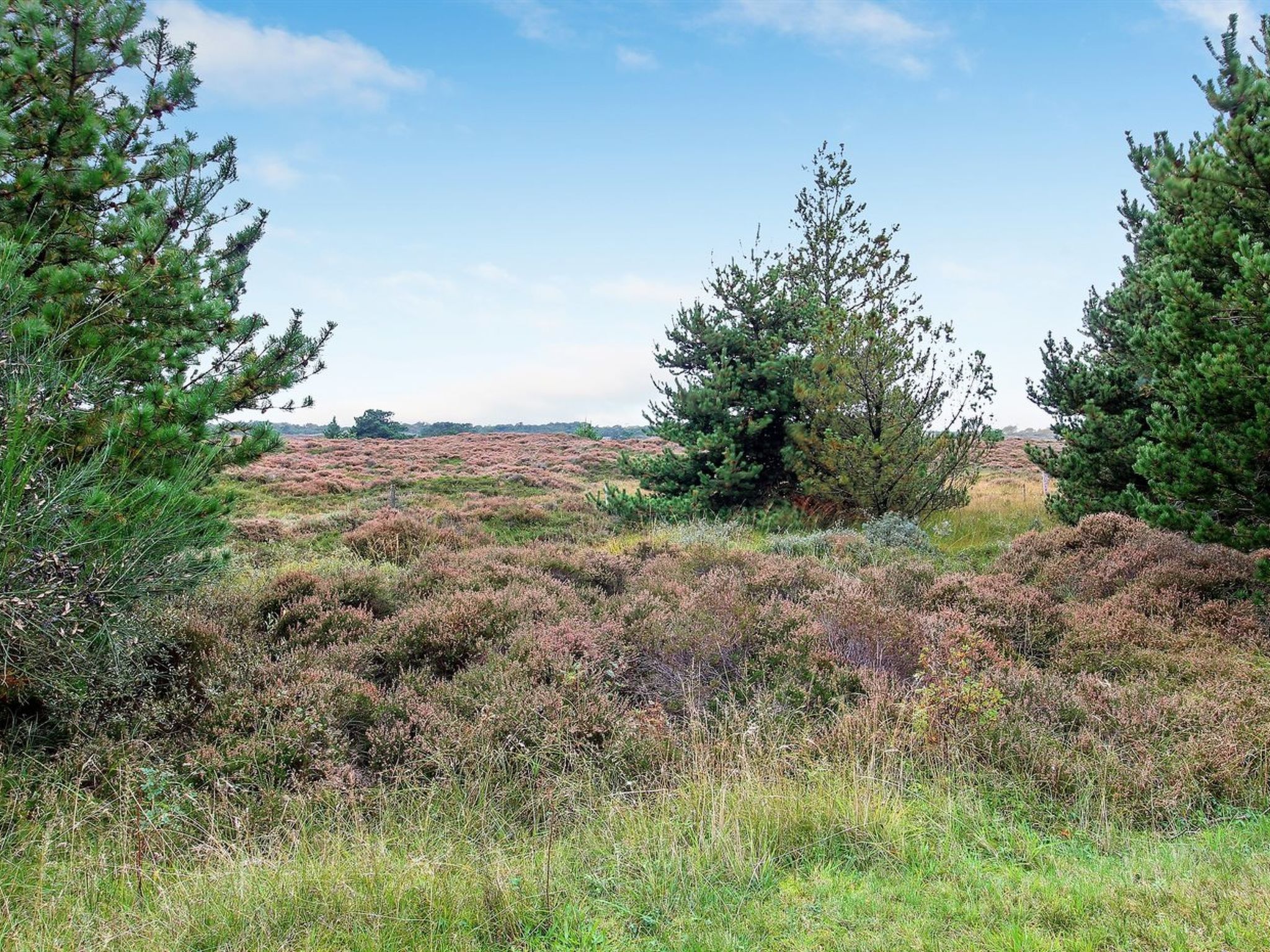 "Dorti" - 3km from the sea - Outside
