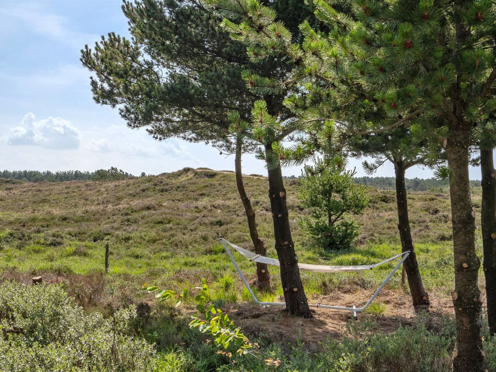 "Dorti" - 3km from the sea - Outside