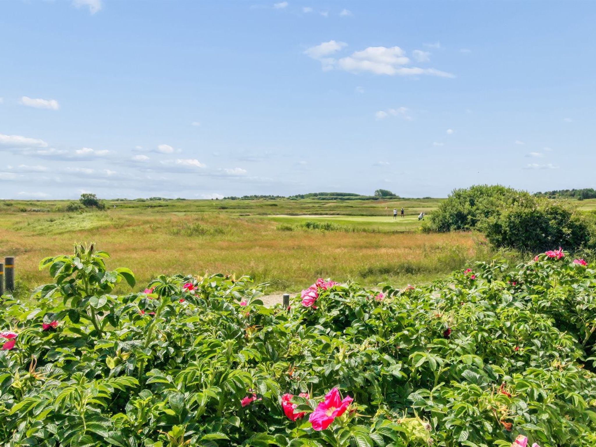 "Tellervo" - 2.4km from the sea - Outside
