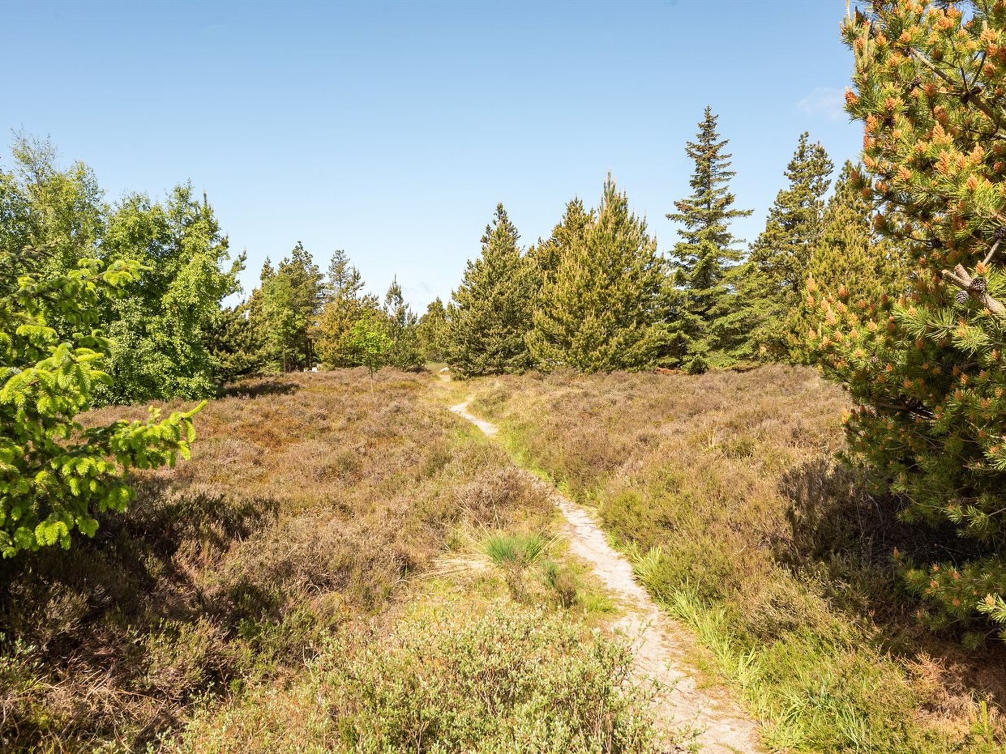 "Atti" - 2.5km from the sea
