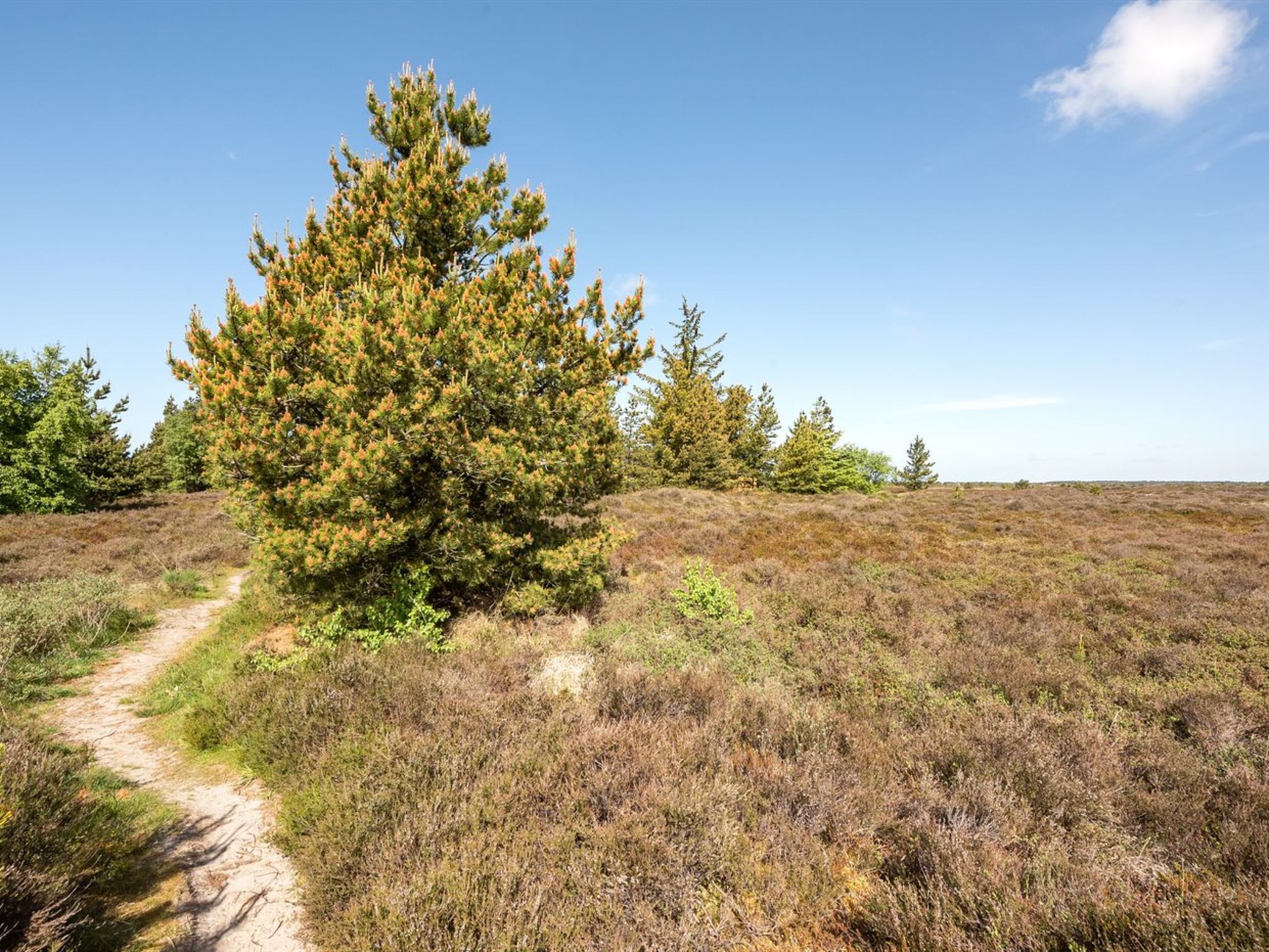 "Atti" - 2.5km from the sea-Draußen