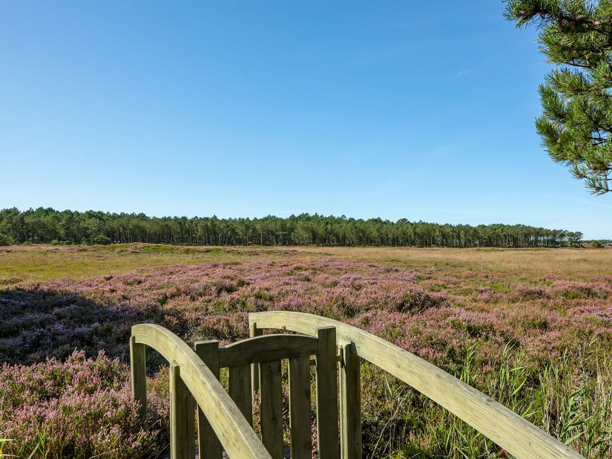 "Tea" - 2.7km from the sea - Buiten