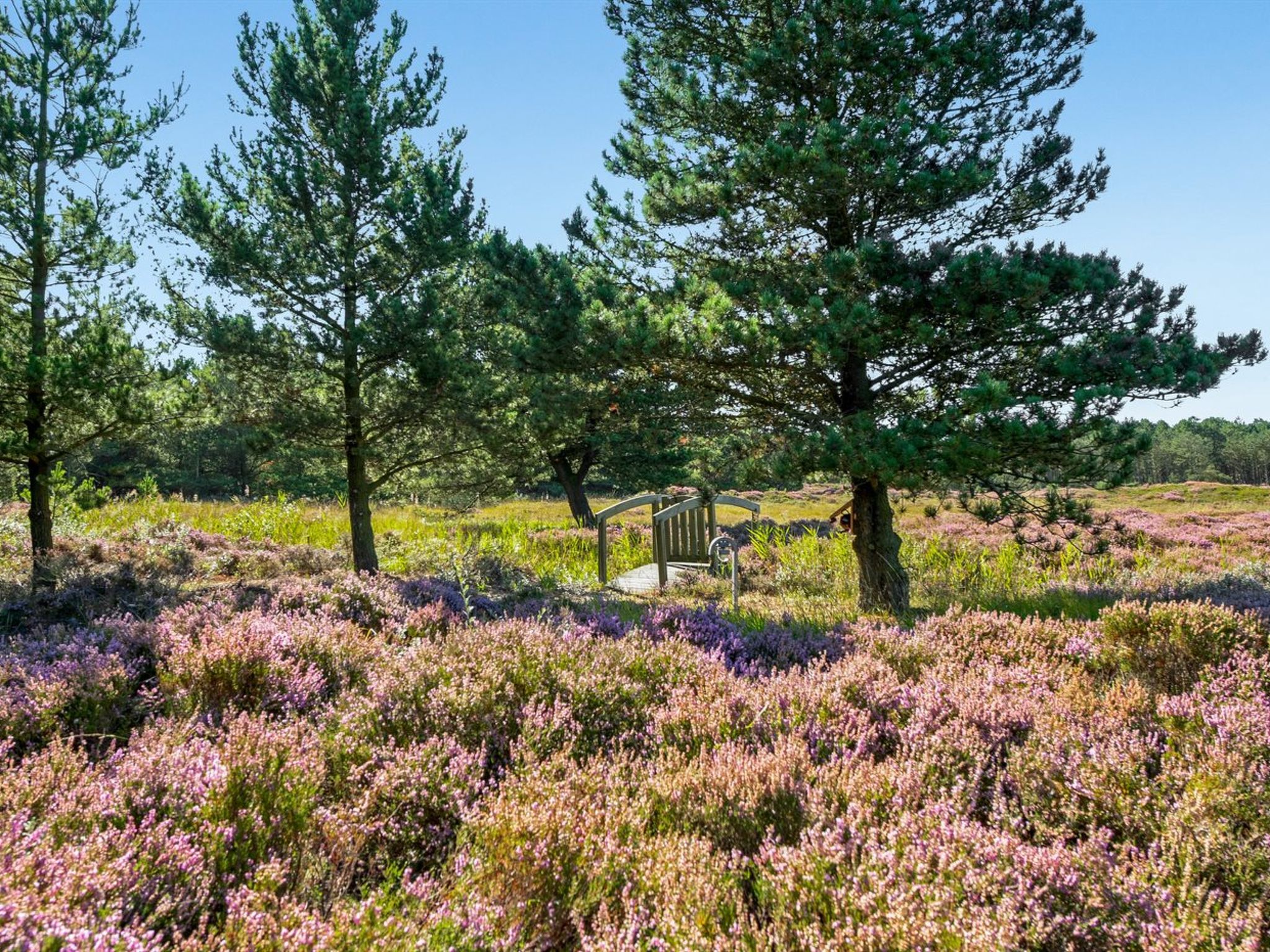 "Tea" - 2.7km from the sea - Buiten
