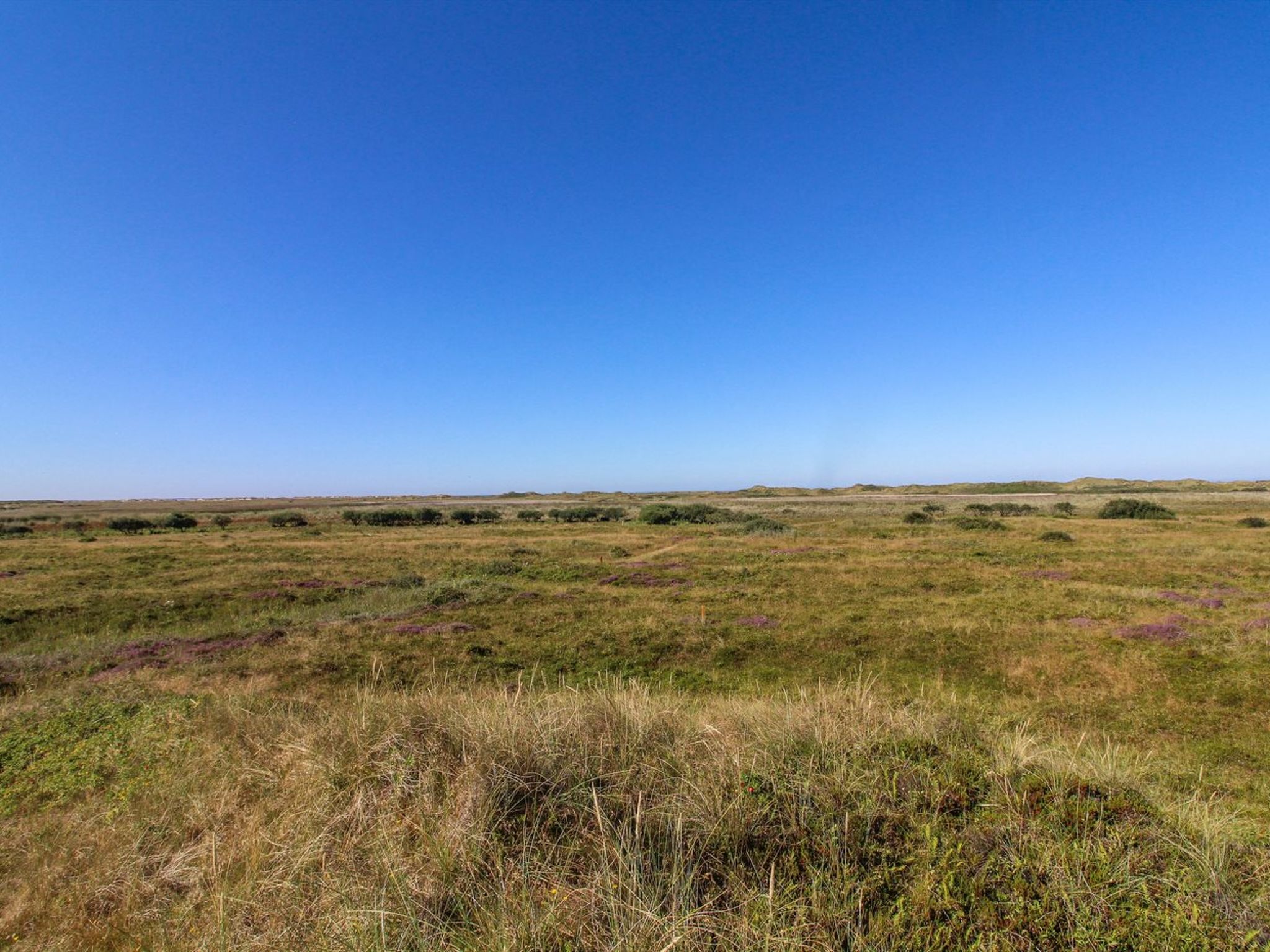 "Alim" - 300m from the sea - Buiten
