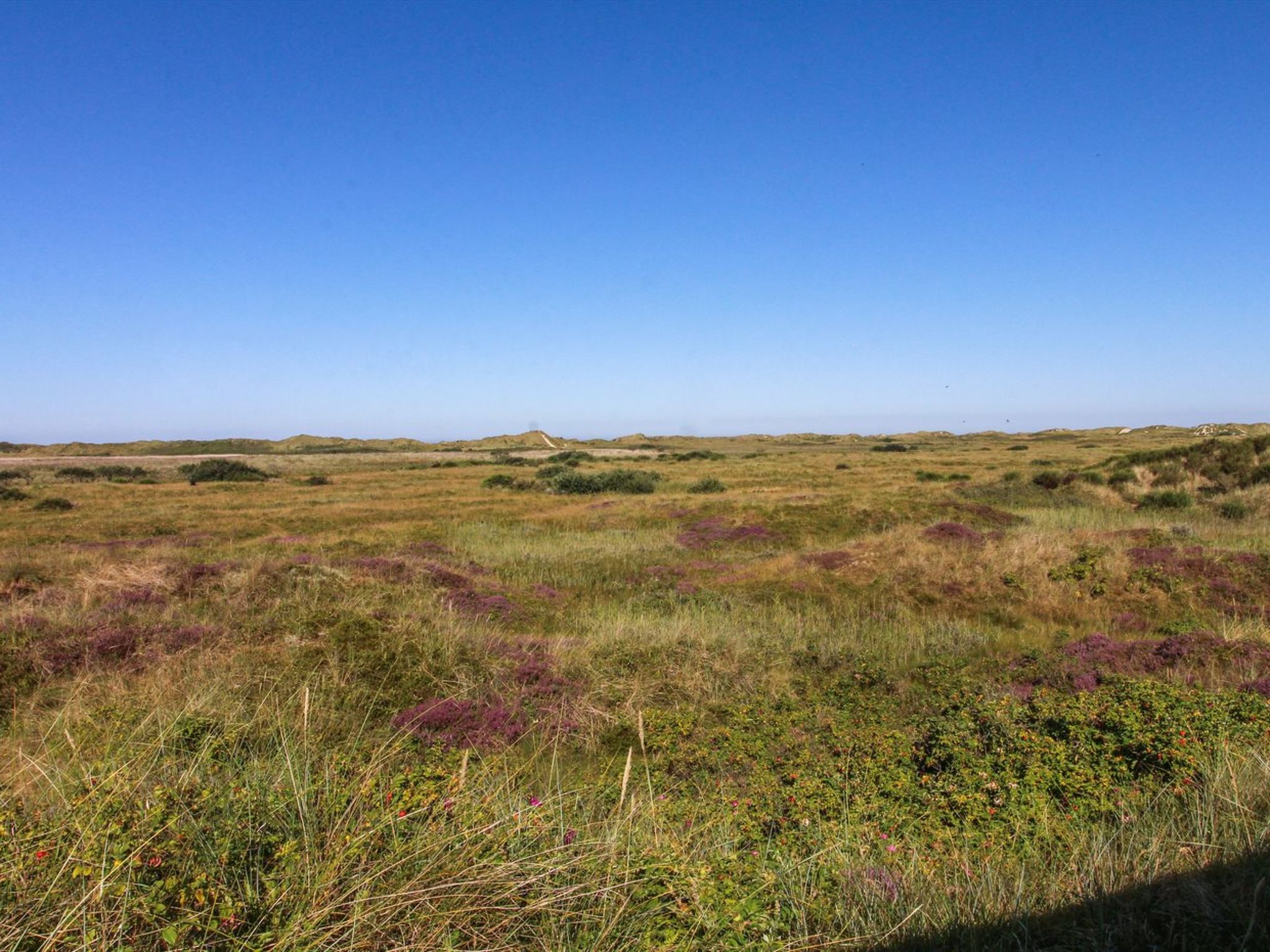 "Alim" - 300m from the sea - Buiten