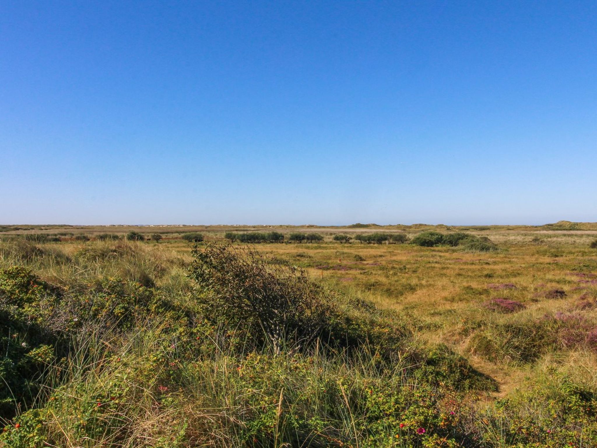 "Alim" - 300m from the sea - Buiten