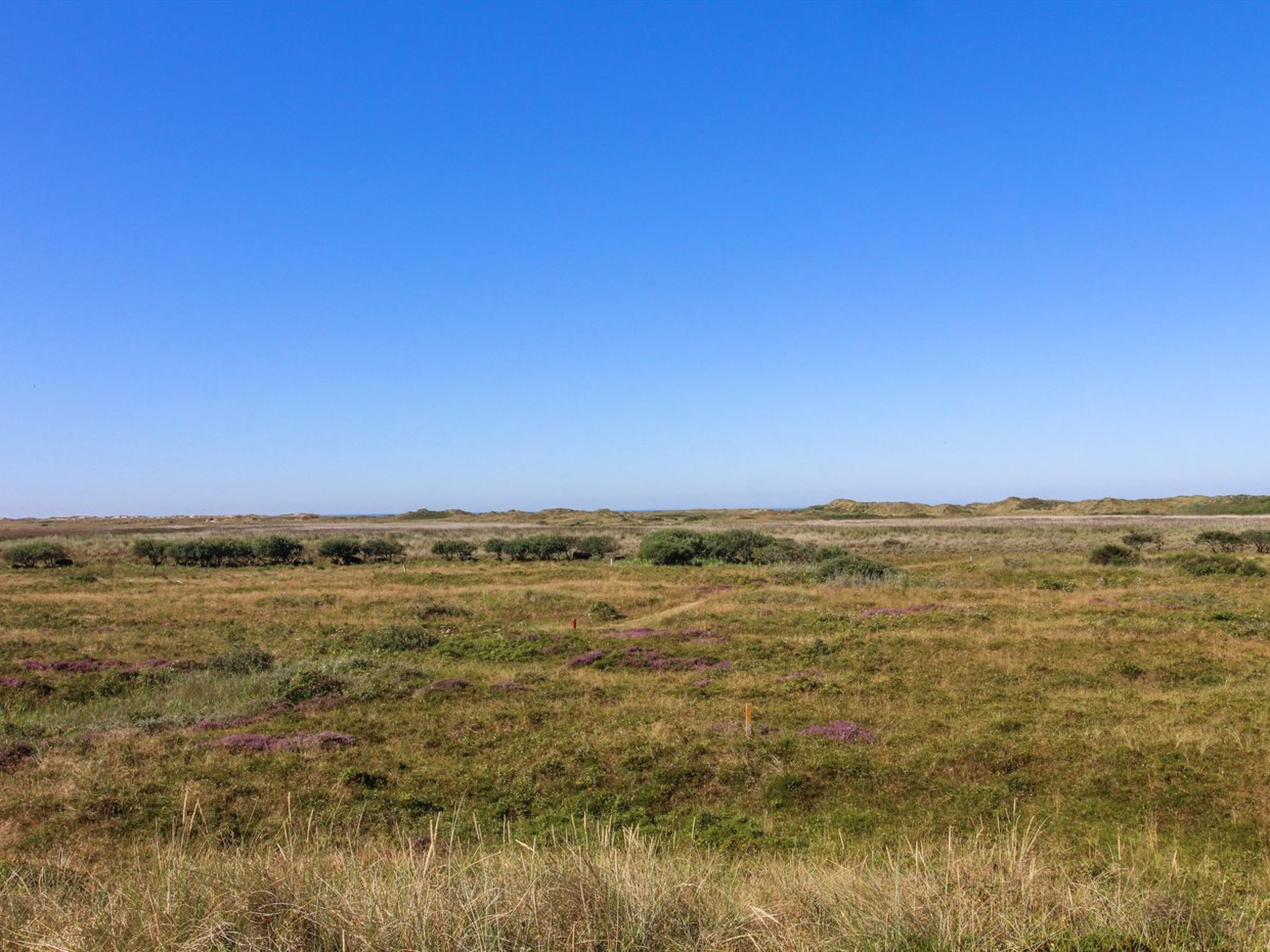 "Alim" - 300m from the sea - Buiten