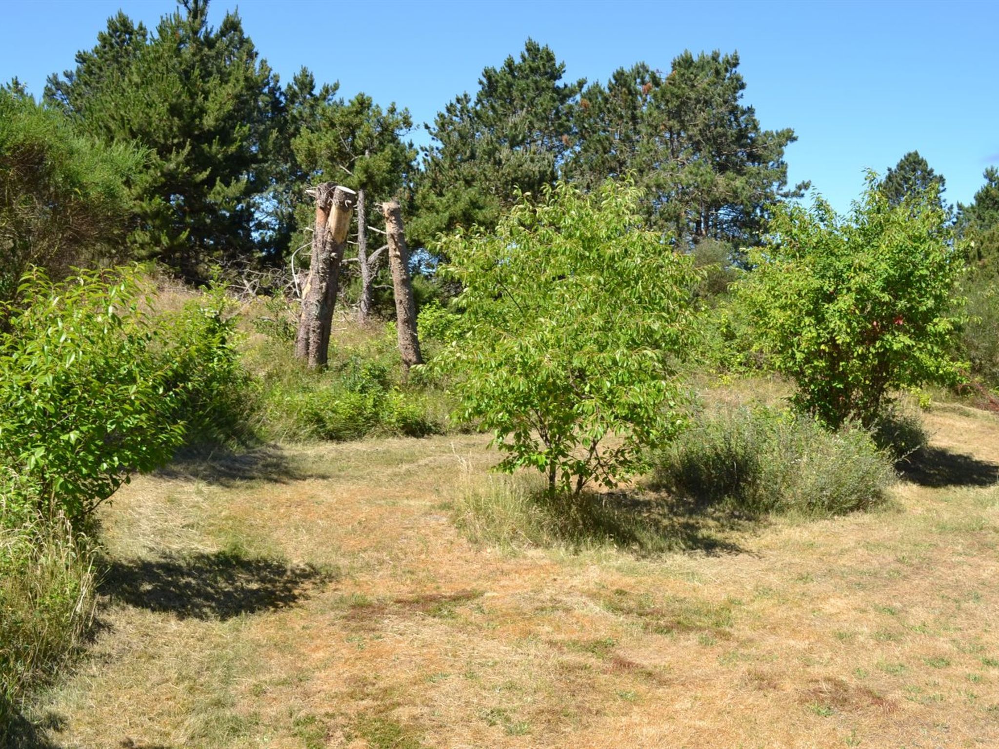 "Eberg" - 2.8km from the sea-Draußen