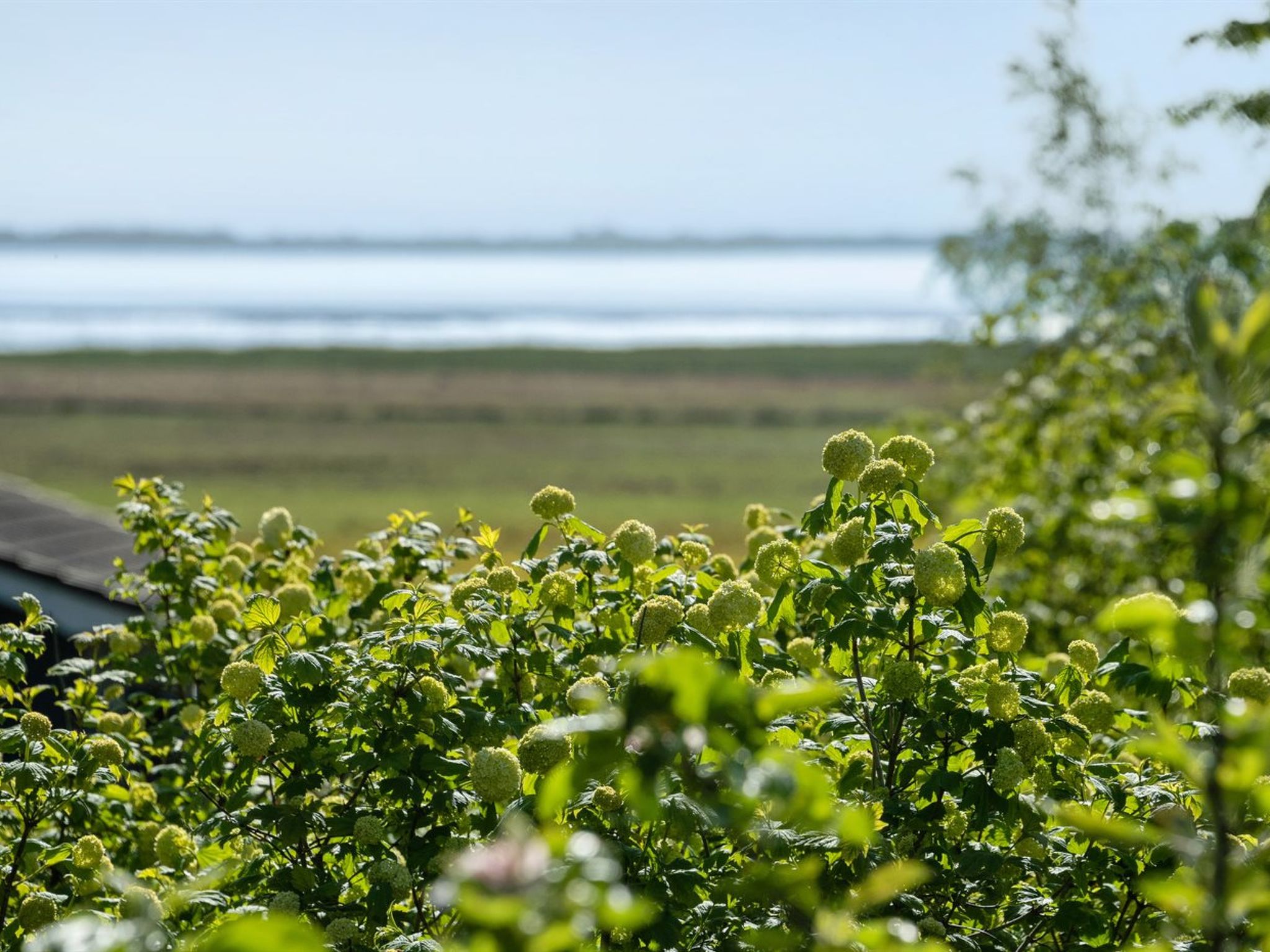 "Iiro" - 2.5km from the sea - Buiten