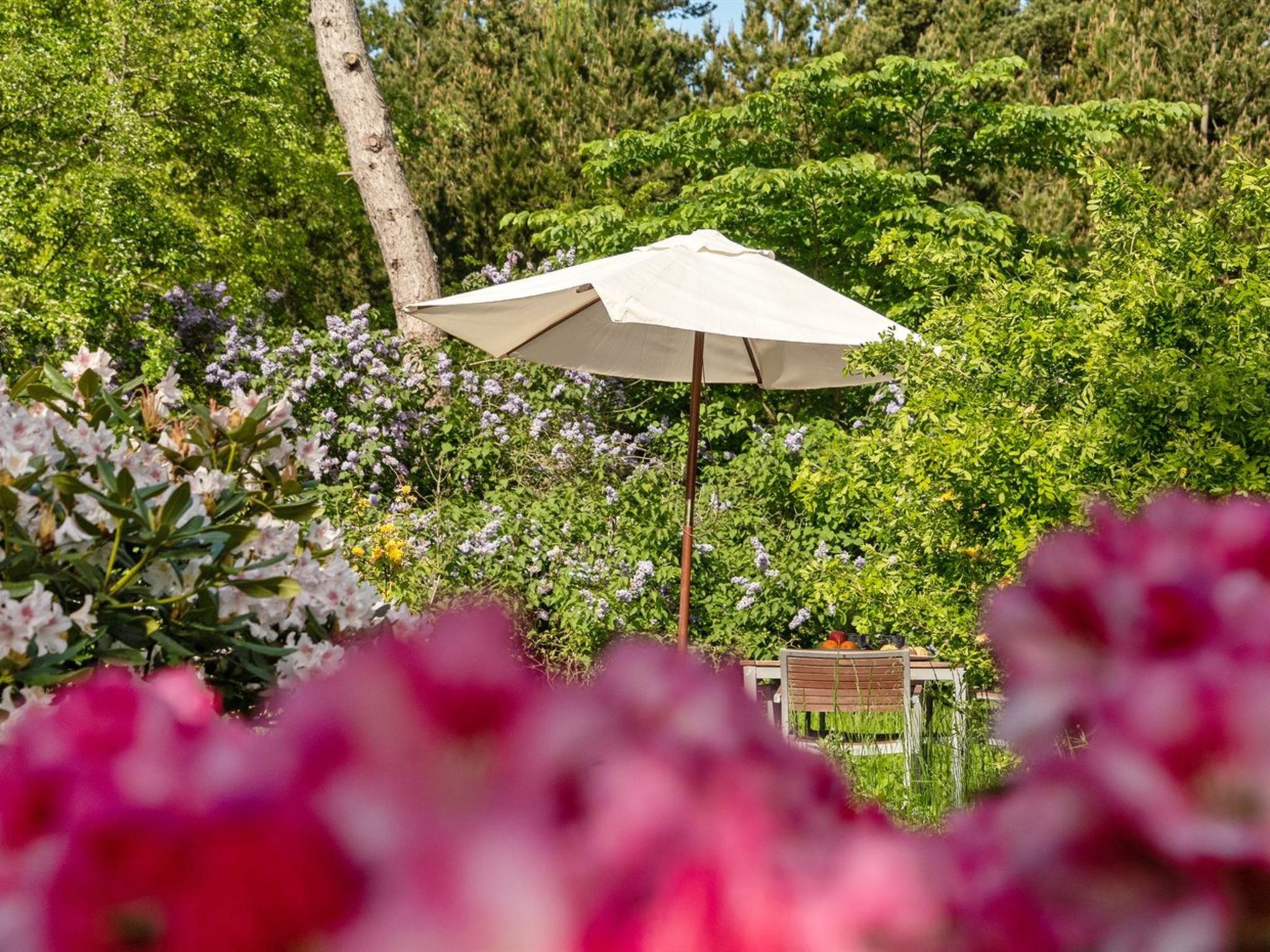 "Iiro" - 2.5km from the sea - Buiten