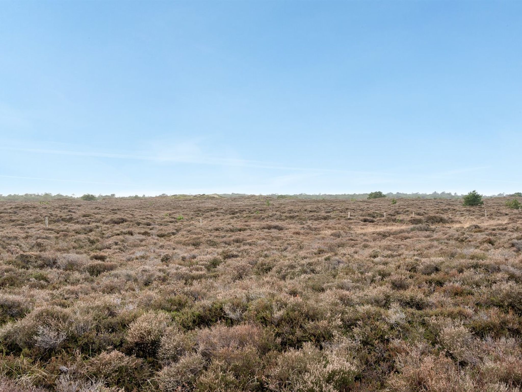 "Dietmar" - 2.8km from the sea - Outside