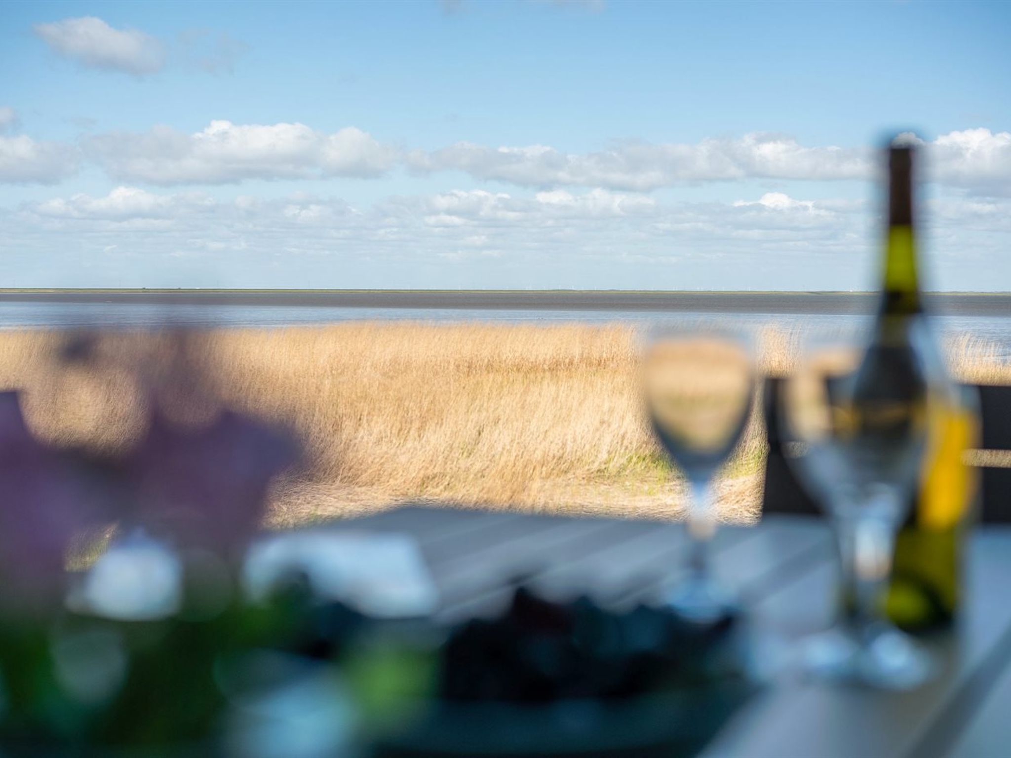"Deljan" - 3.5km from the sea - Dehors