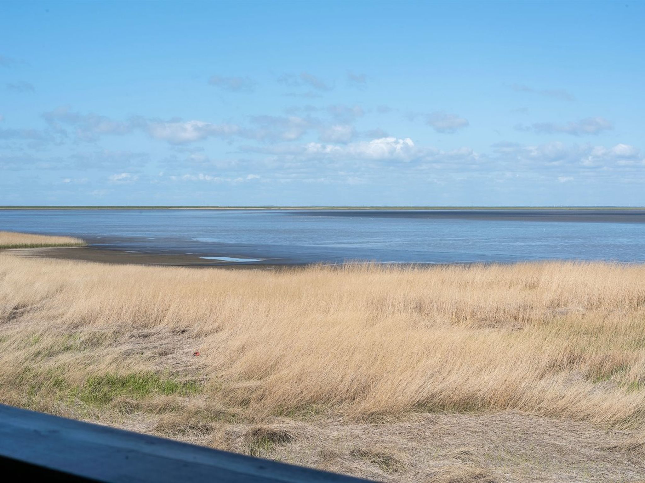 "Deljan" - 3.5km from the sea - Dehors