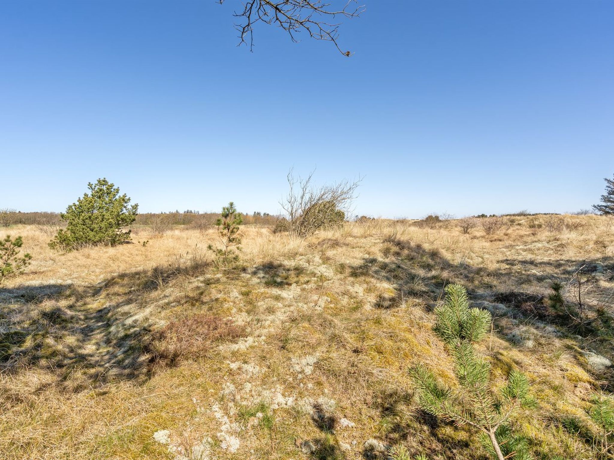 "Ødke" - 3.5km from the sea - Buiten