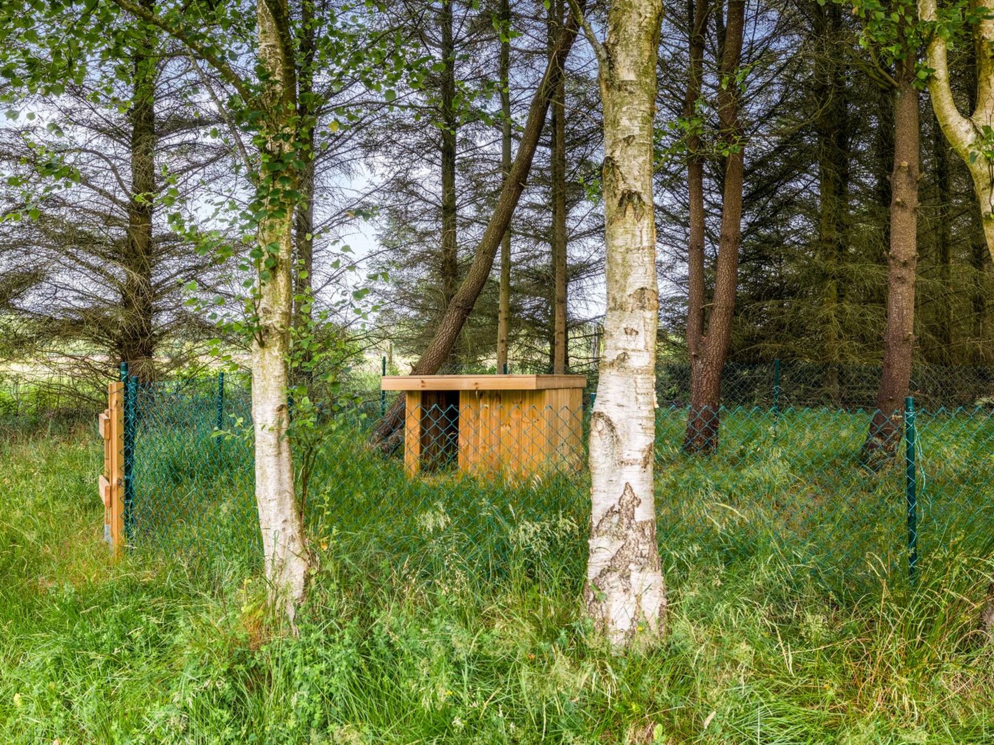"Marlise" - 2.5km from the sea - Draußen