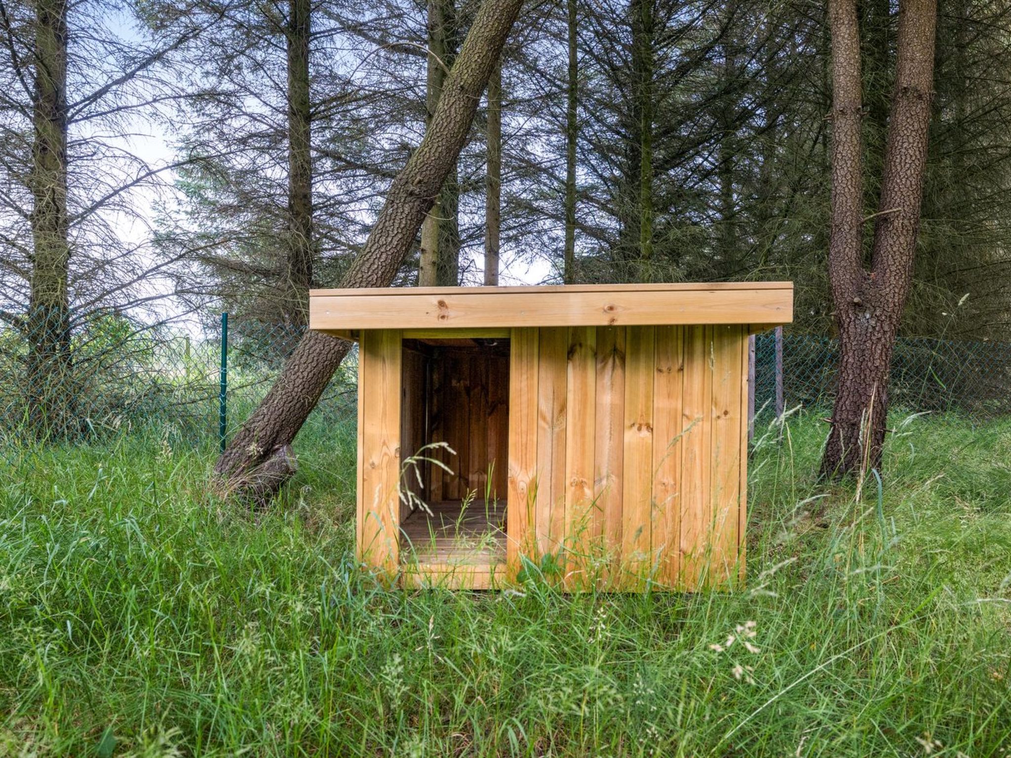 "Marlise" - 2.5km from the sea - Draußen