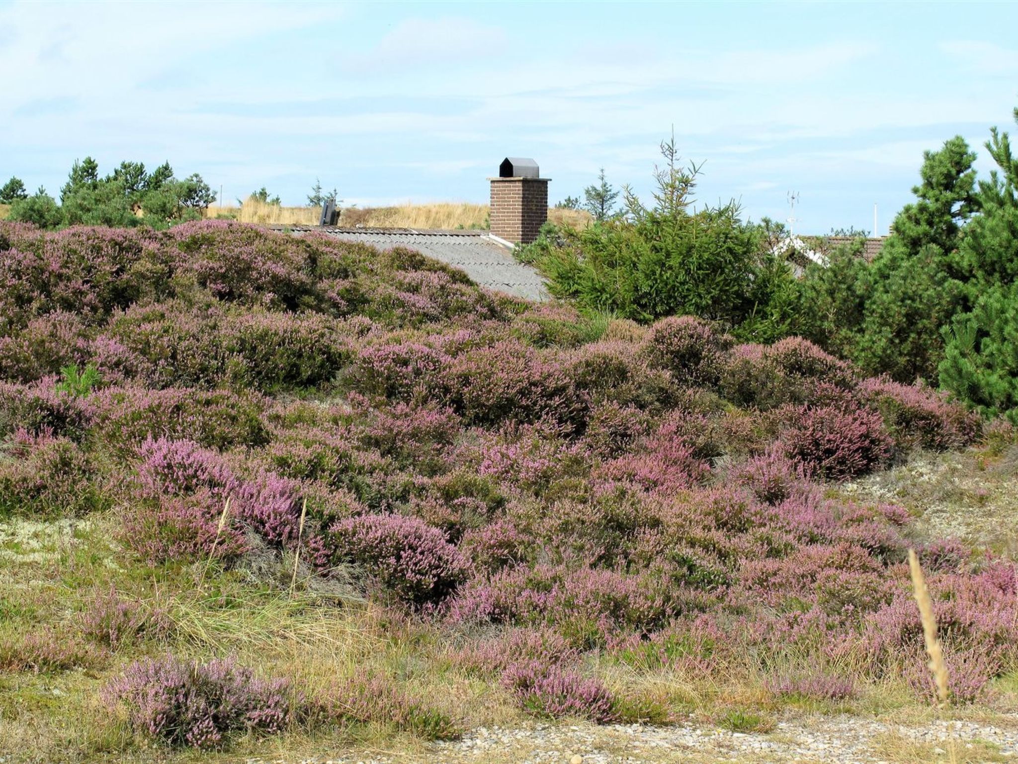 "Elsa" - 700m from the sea - Buiten