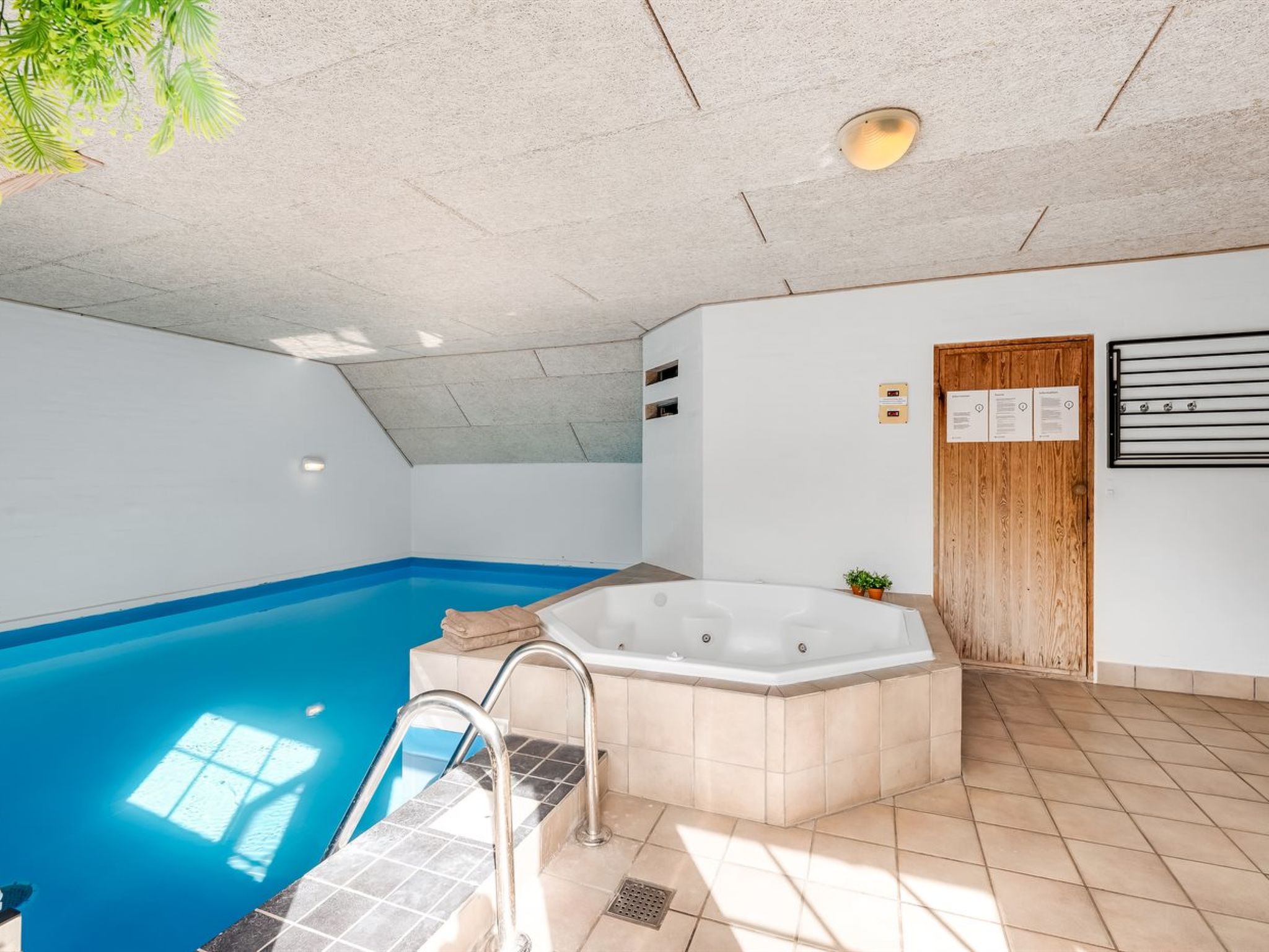 "Prohor" - 10.5km from the sea — Pool Outdoor (4 of 31)