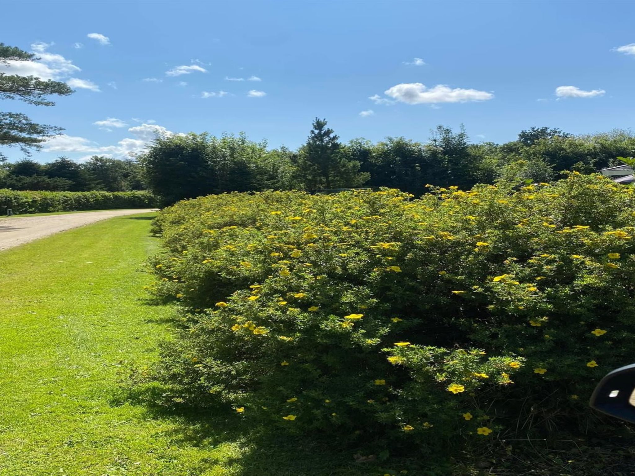 "Vilhelm" - 10km from the sea - Draußen