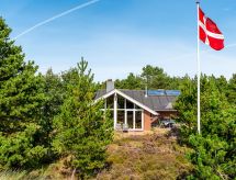 Licht vakantiehuis Annerose op 650 meter van de Deense westkust - thumbnail 1