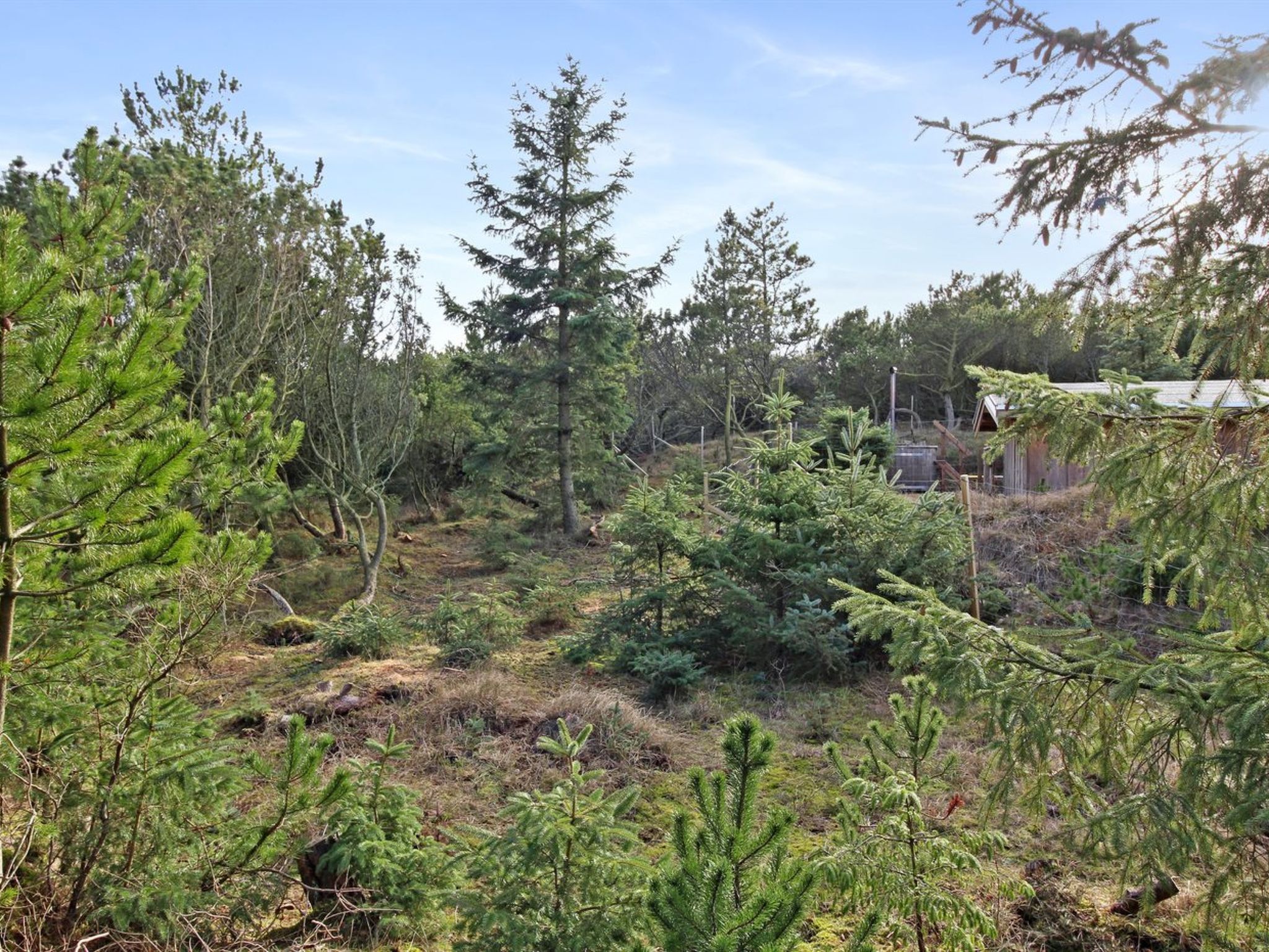 "Laurin" - 600m from the sea - Draußen
