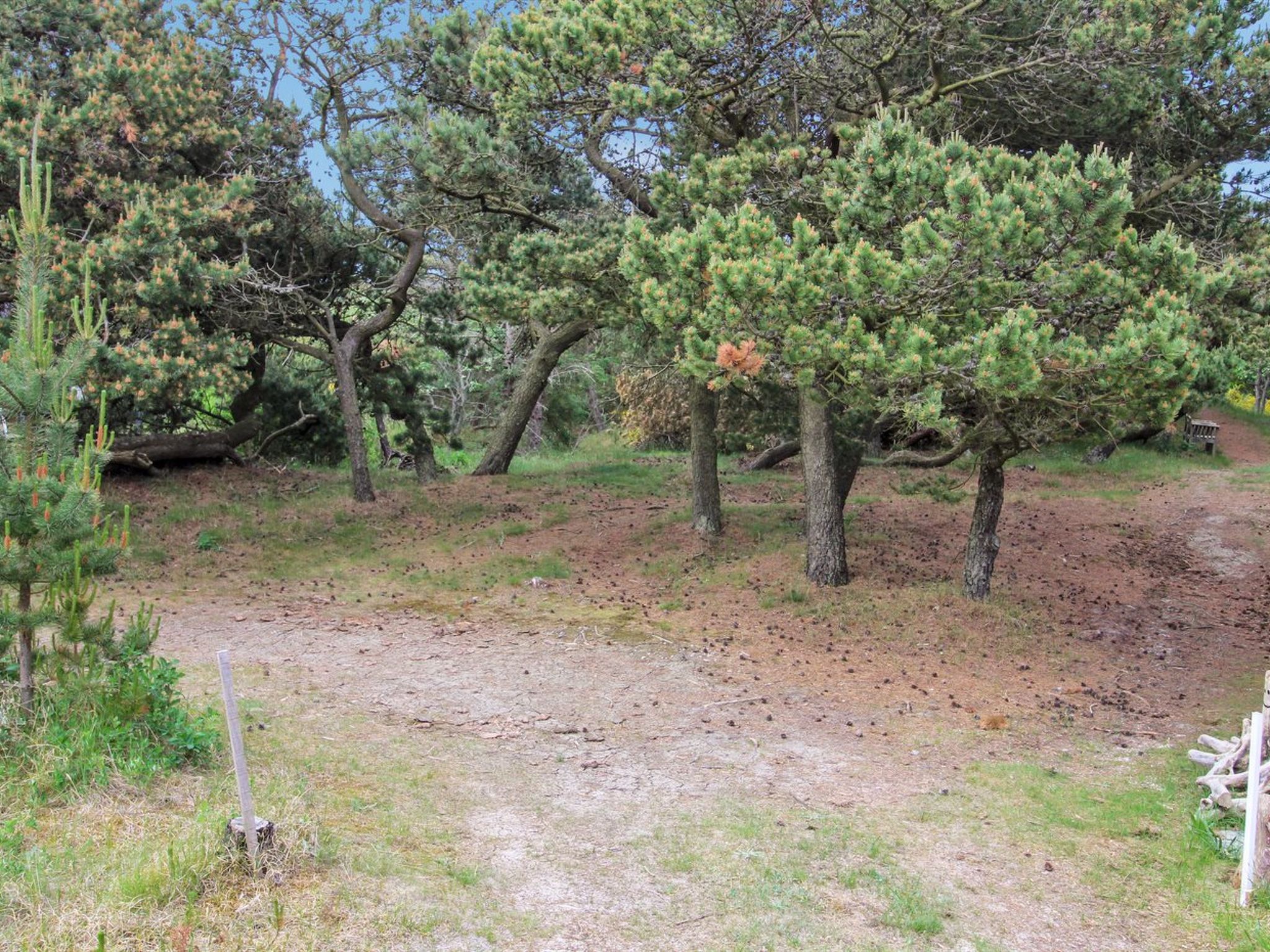 "Kanutte" - 400m from the sea - Buiten