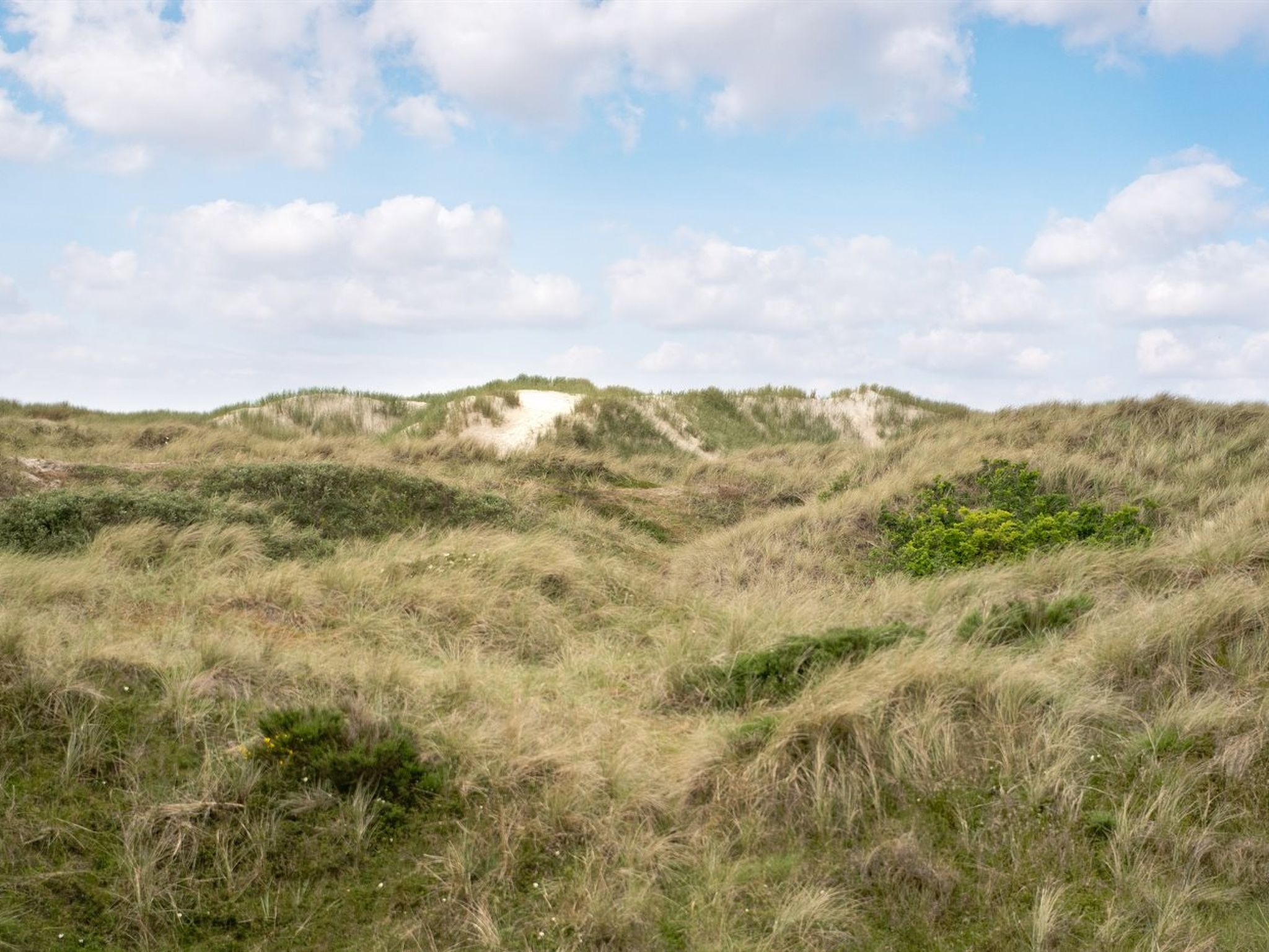 "Thrond" - 200m from the sea-Draußen