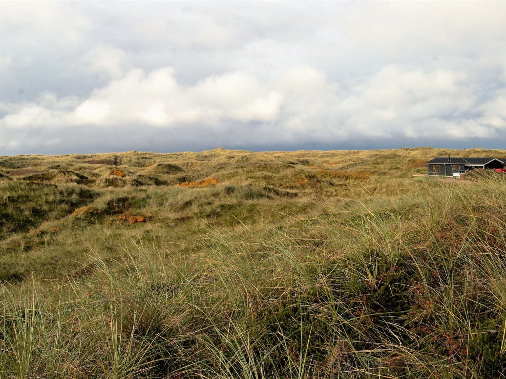 "Auli" - 200m from the sea - Buiten