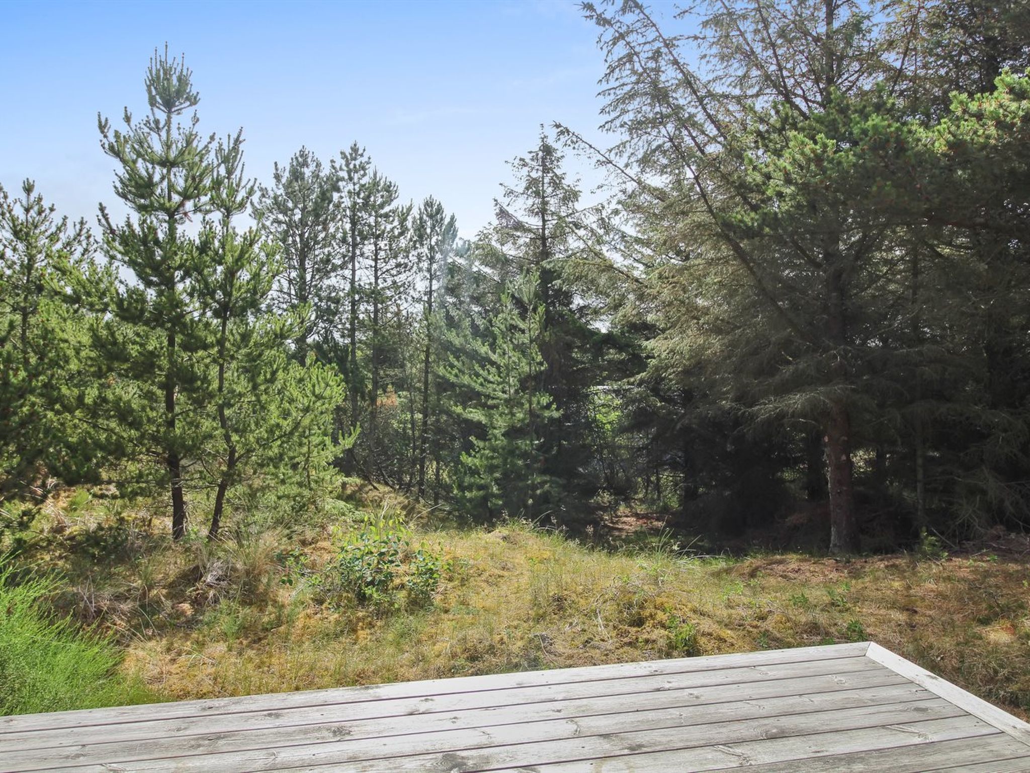Vakantiehuis Ilsebil – 500 meter van strand op 2000 m² privéterrein - foto 6