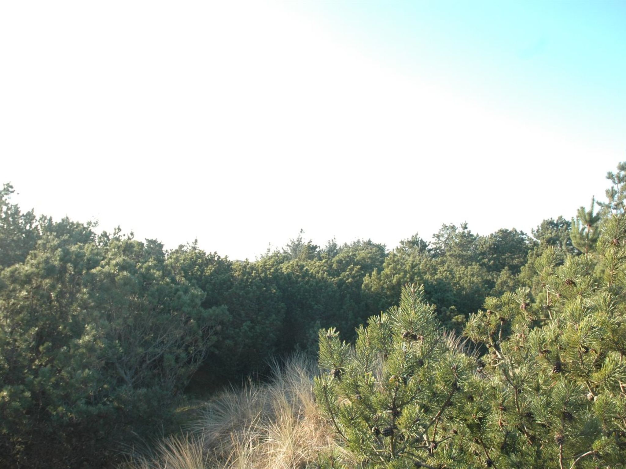 "Jon" - 400m from the sea - Buiten