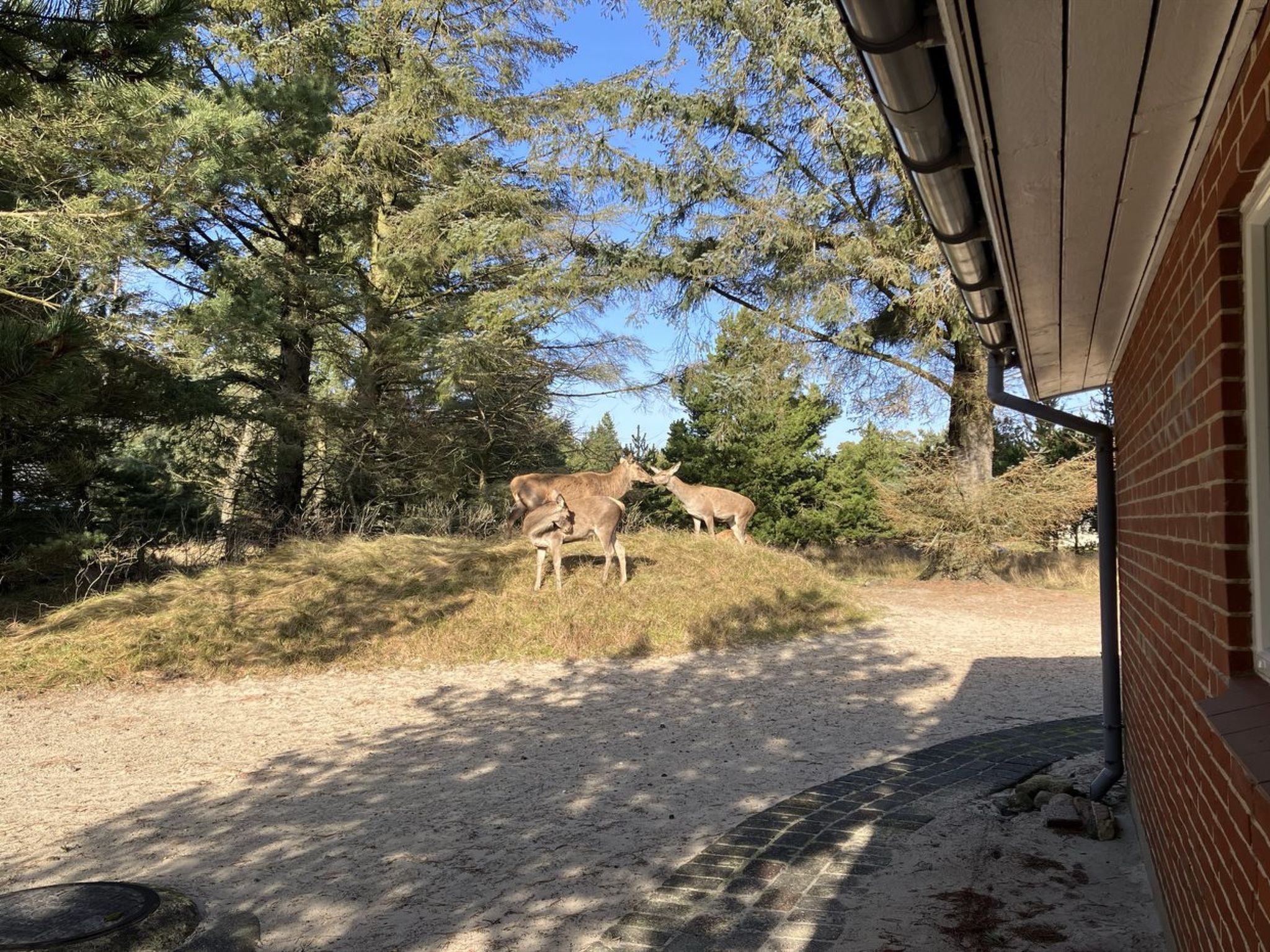 "Tascha" - 1.5km from the sea - Buiten