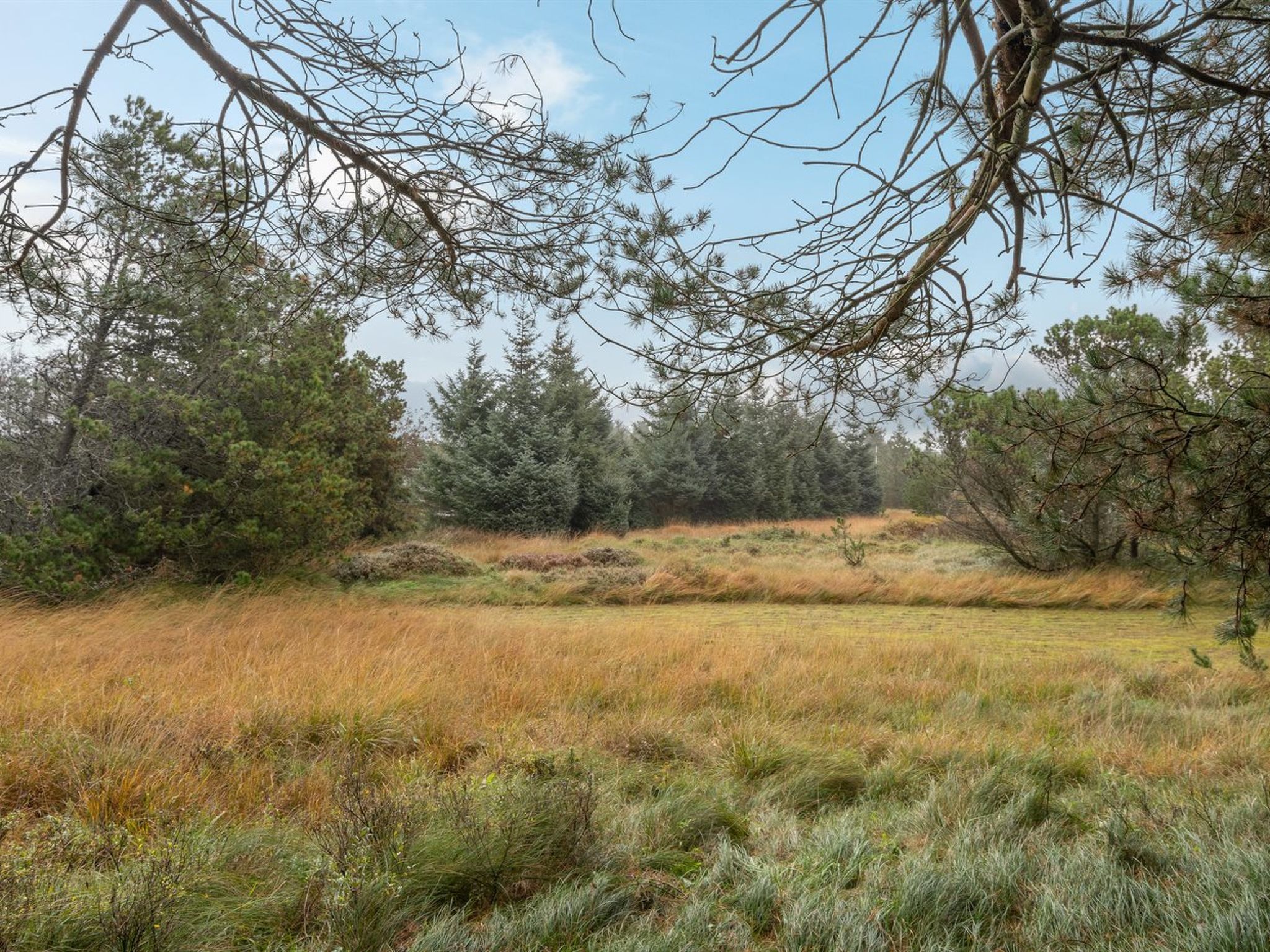 "Aulikki" - 900m from the sea - Dehors