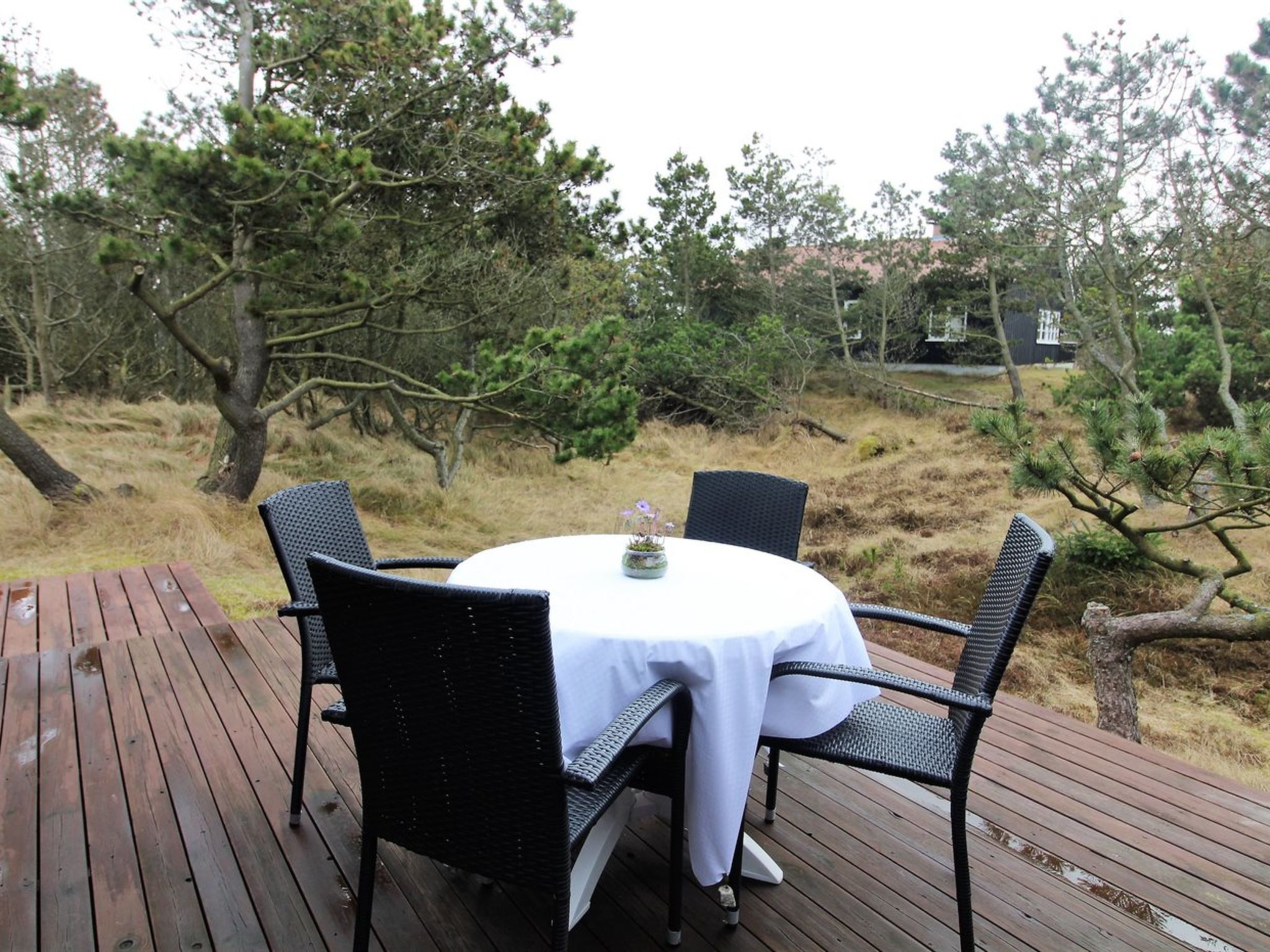 "Glady" - 500m from the sea — Terrace (2 of 26)