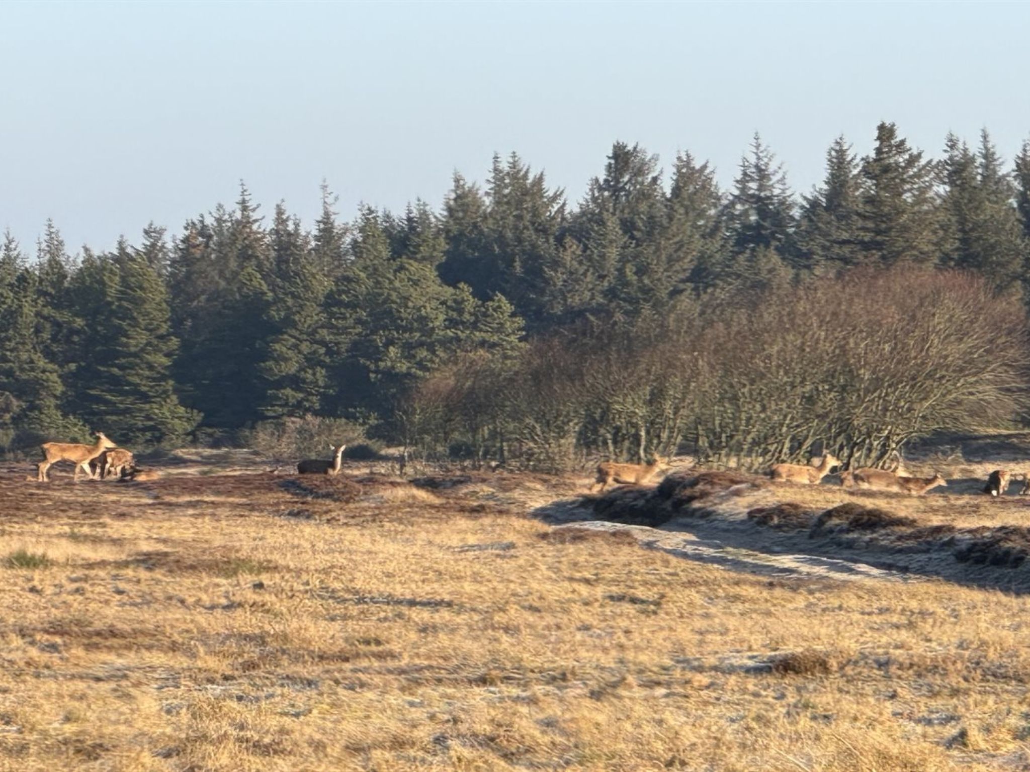 "Thrugils" - 500m from the sea - Buiten