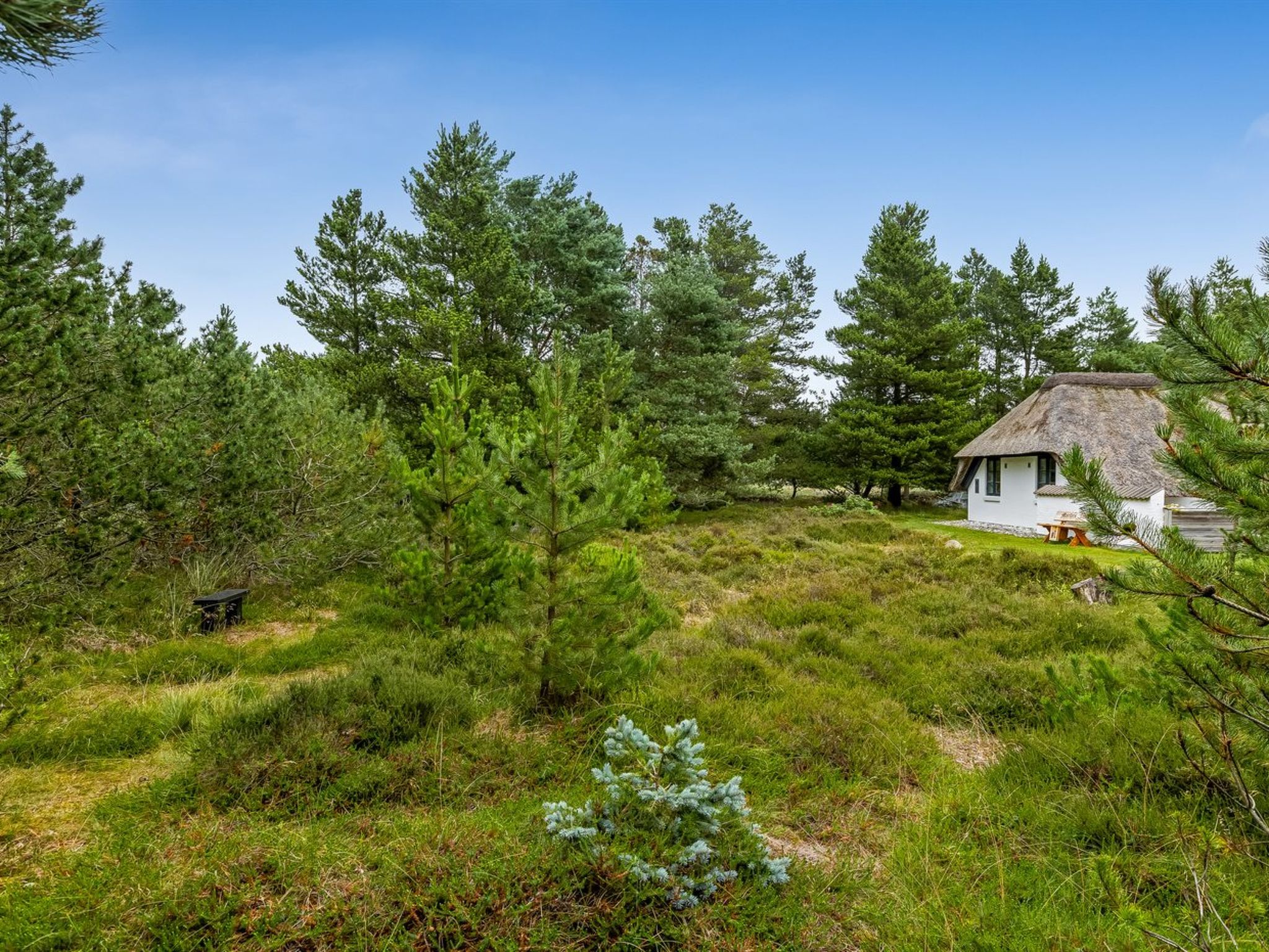 "Lilo" - 1km from the sea - Draußen