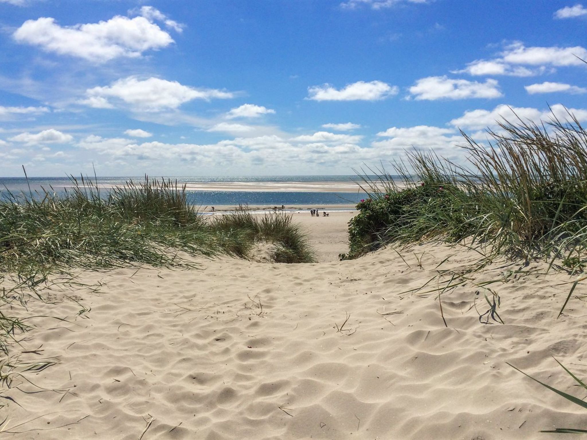 "Rother" - 100m from the sea - Buiten