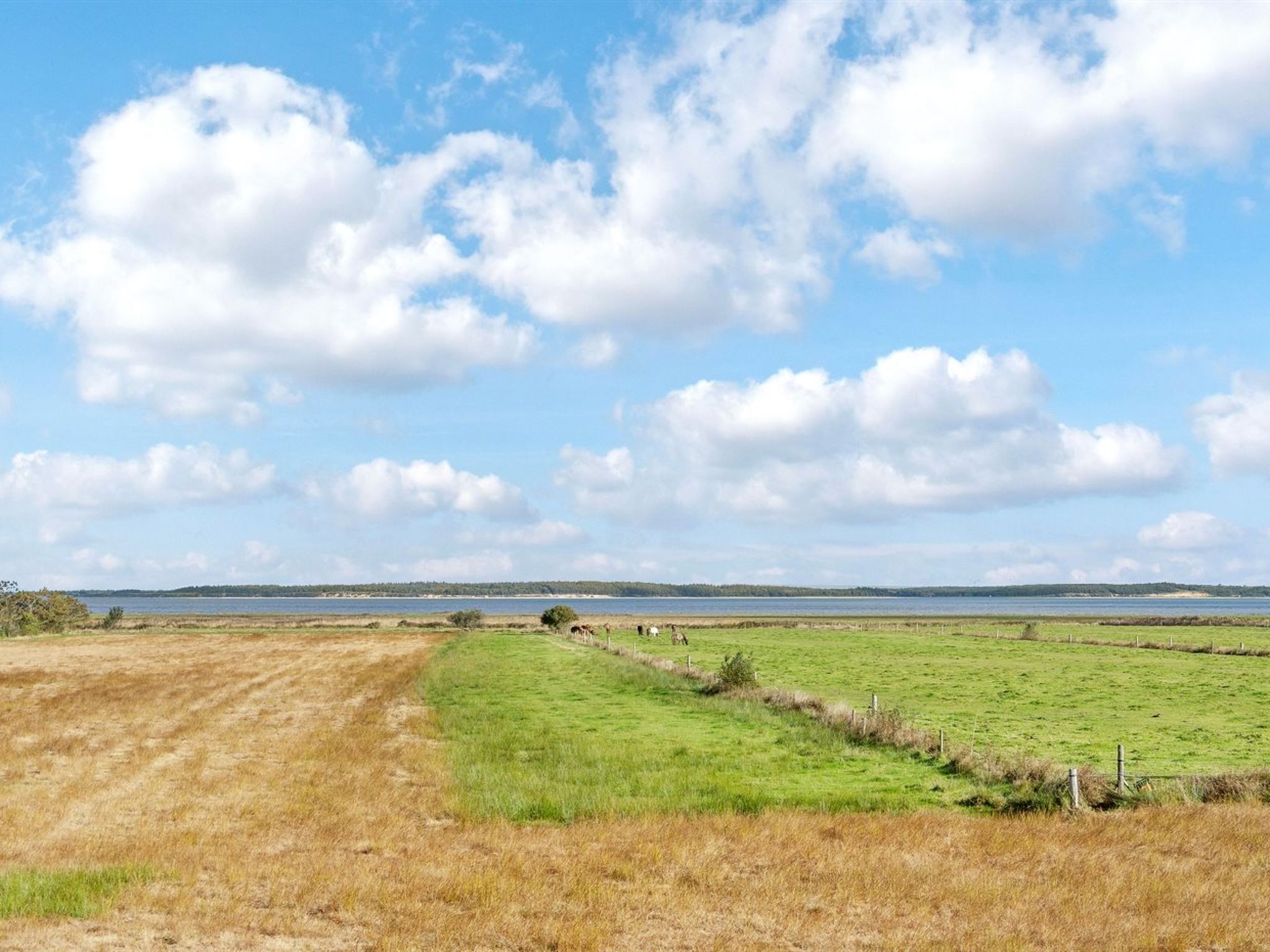 "Aswaldi" - 3.5km from the sea