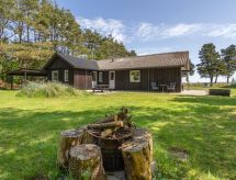 Vrijstaande woning Elny met grote tuin, 500 meter van de fjord bij Blåvand - thumbnail 1