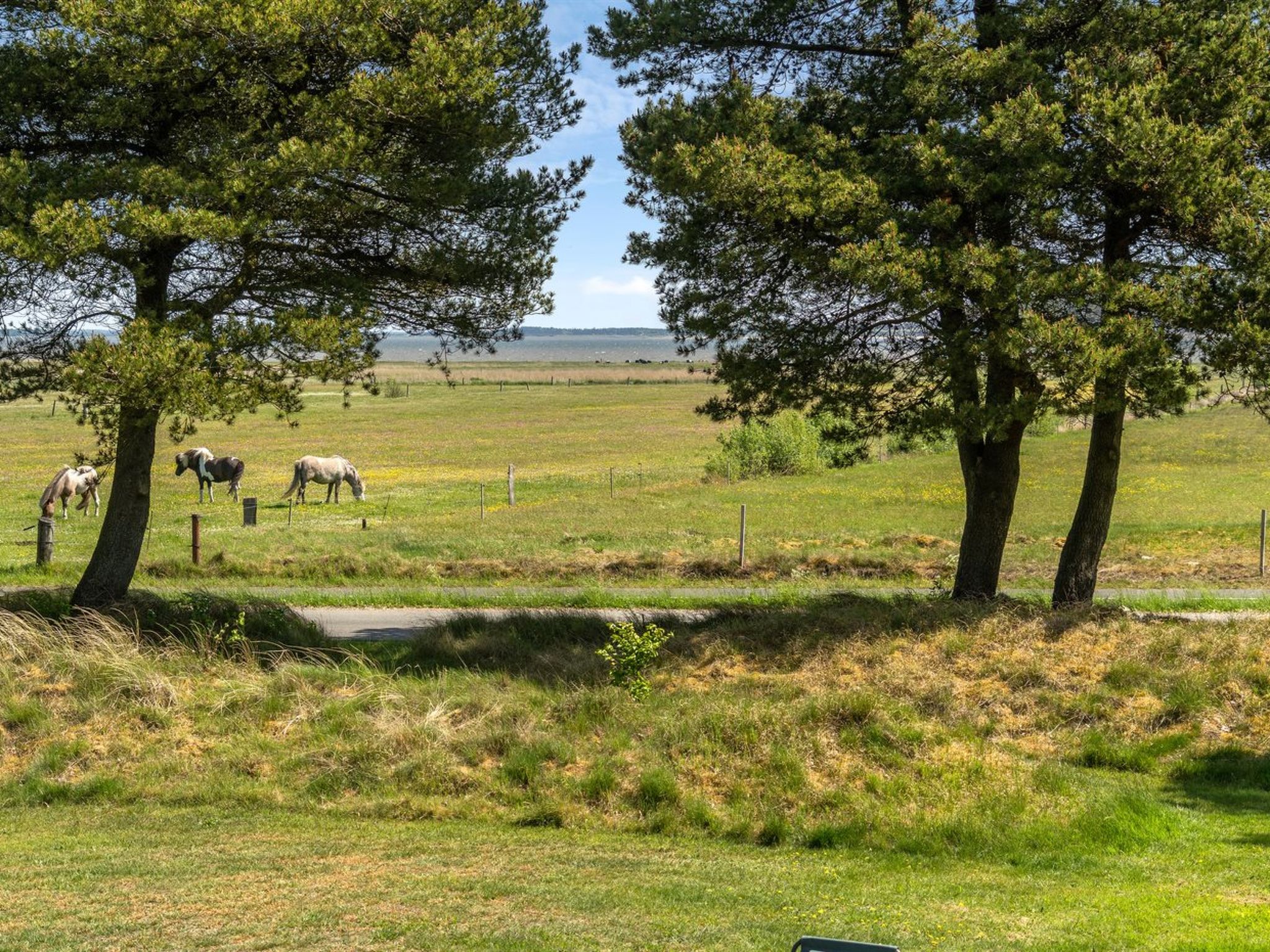 "Elny" - 500m to the fjord-Buiten
