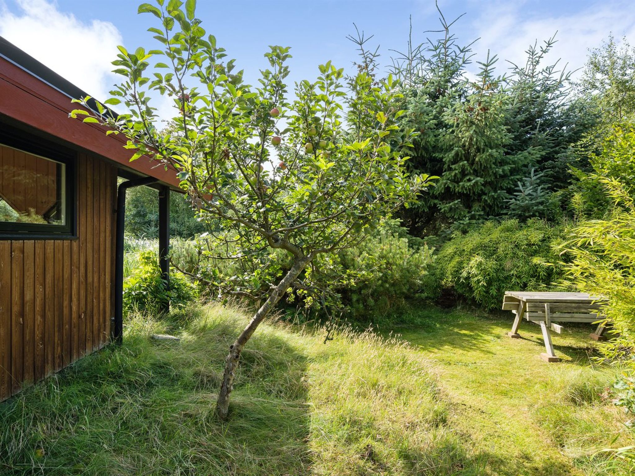 "Sune" - 500m from the sea-Dehors