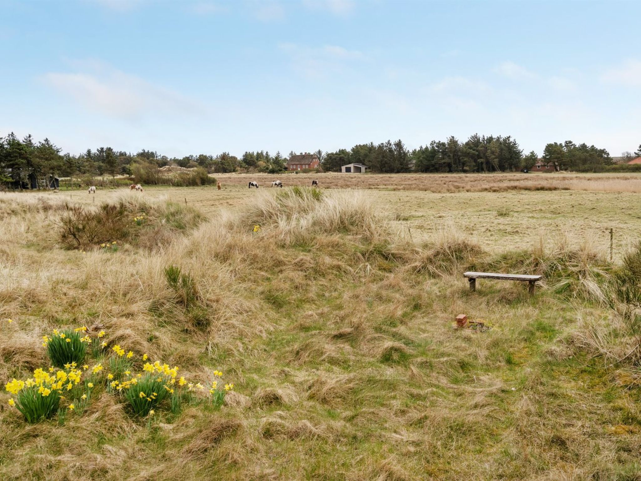 "Thorgisl" - 1.4km from the sea - Buiten