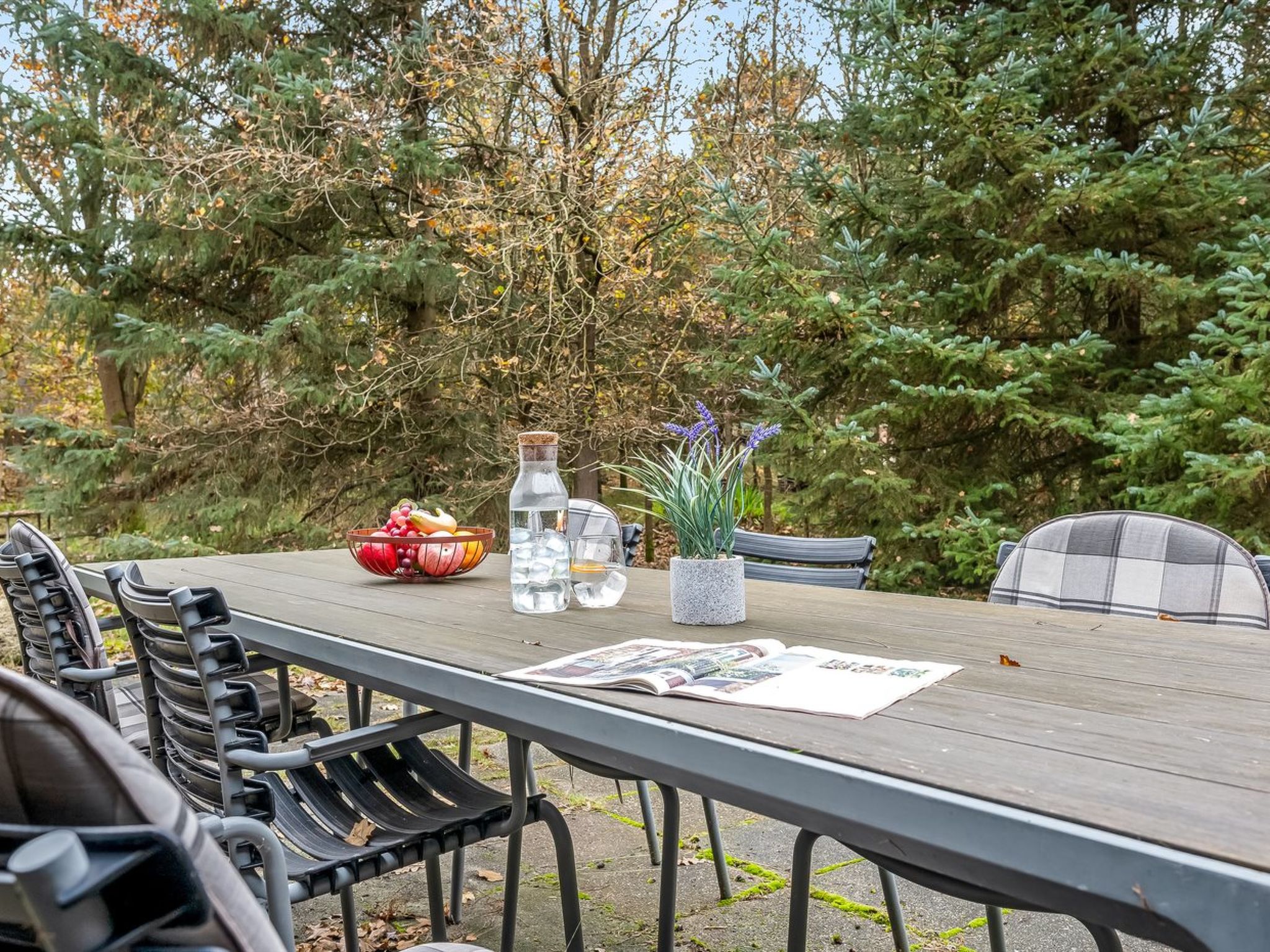 "Alfons" - 600m from the sea