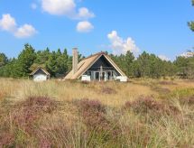 Kindvriendelijk vakantiehuis Gerdis met sauna en grote tuin op 1,6 km van de zee - thumbnail 1