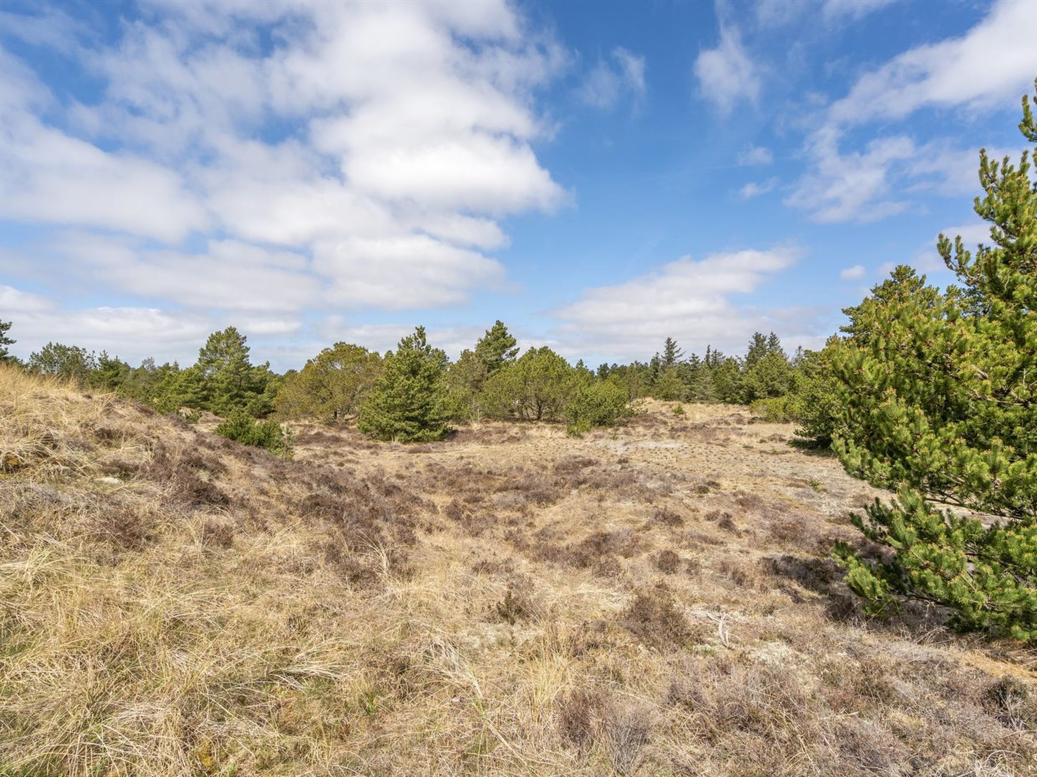 "Absolon" - 1.5km from the sea - Dehors